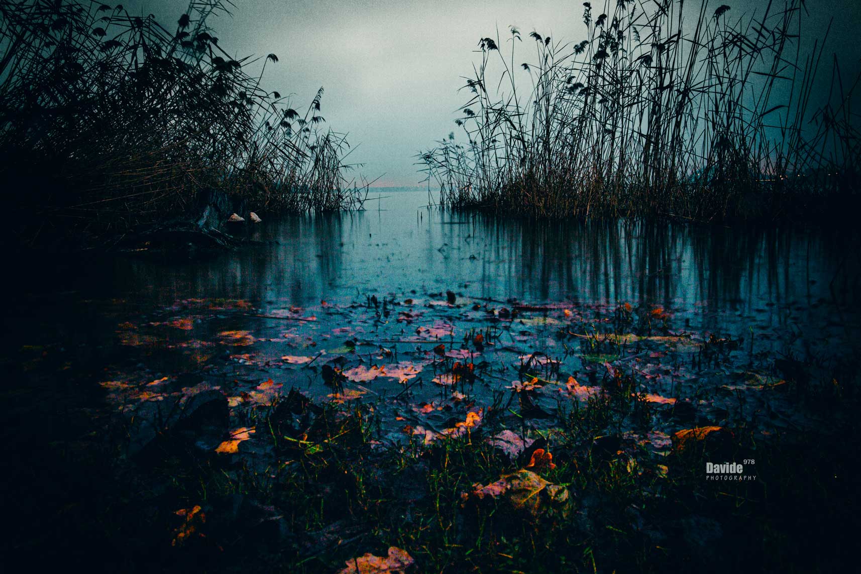 Lago di Varese - 2023