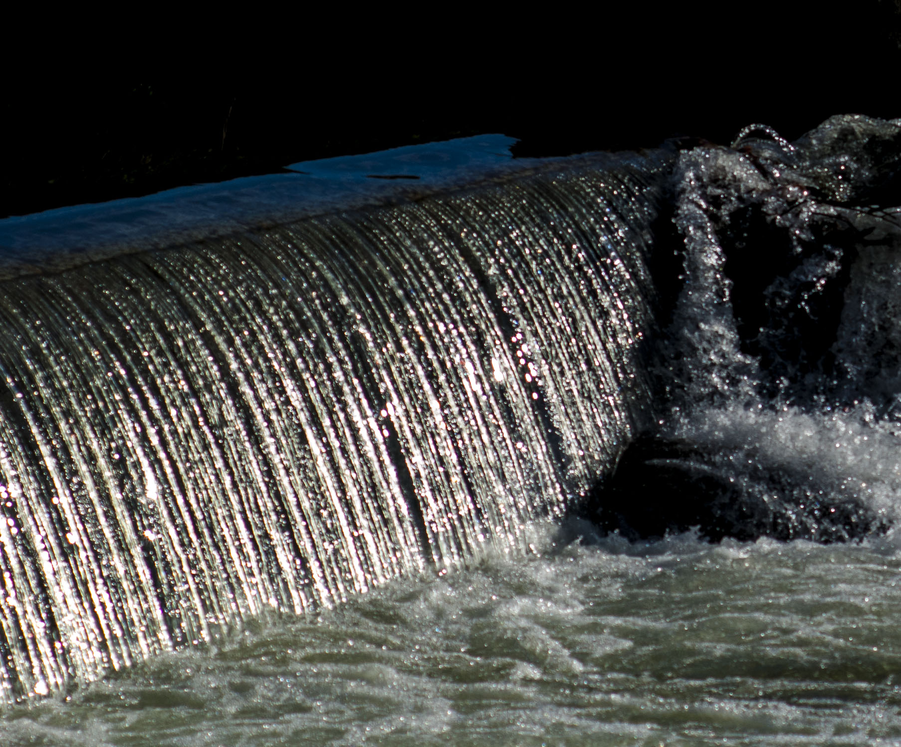 Cascatella natalizia