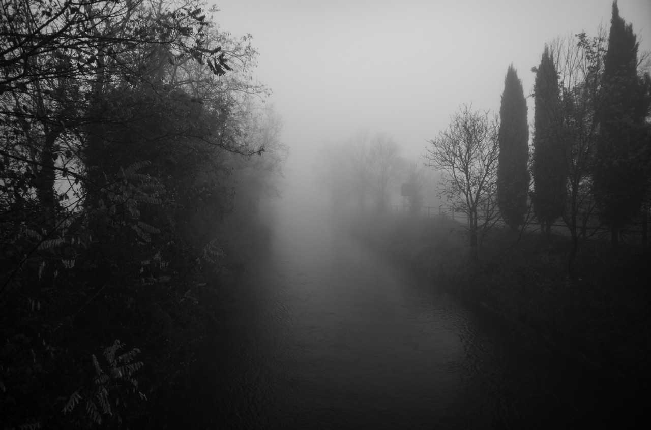 Mattinata invernale nebbiosa