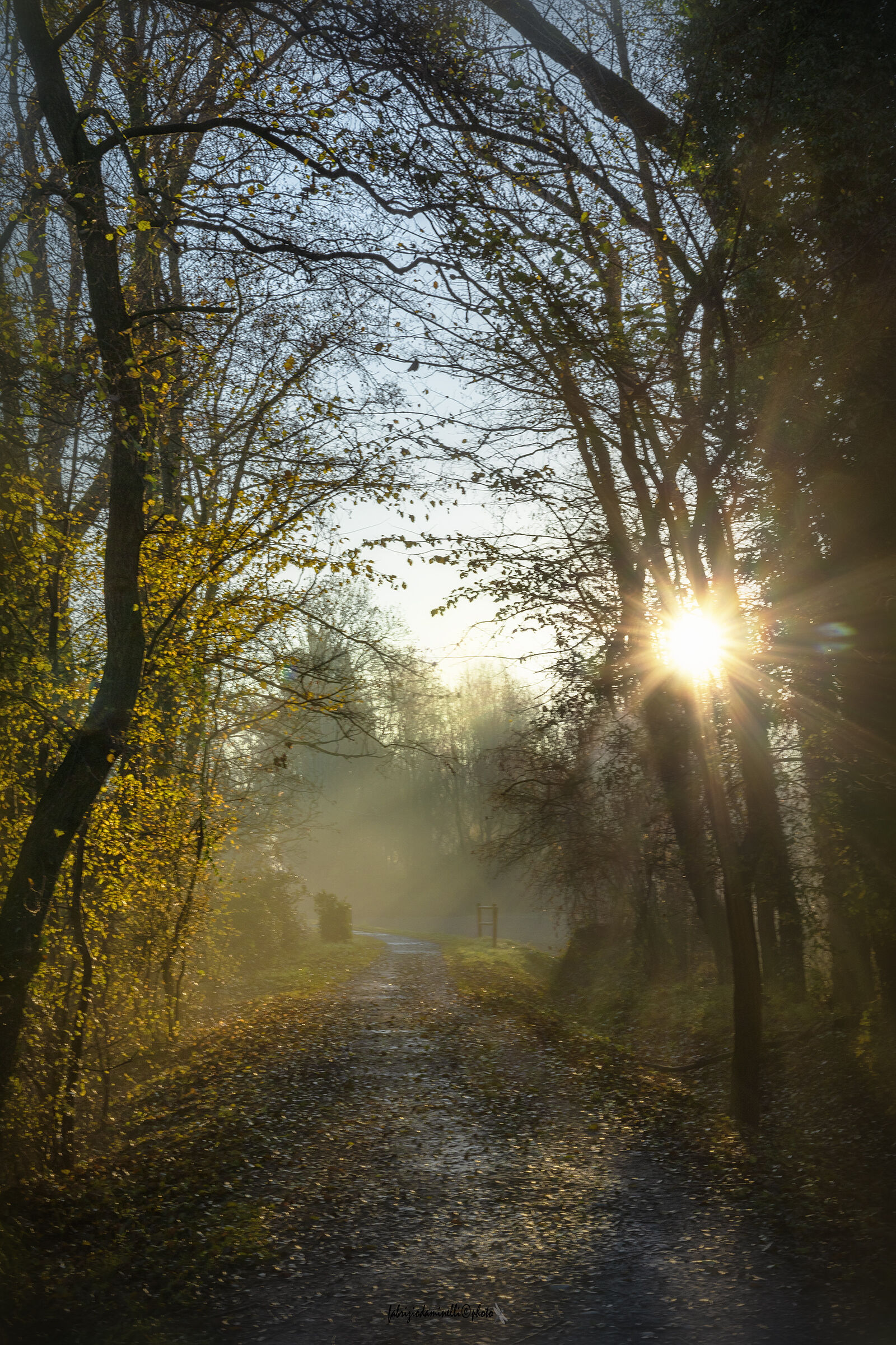 Your presence is light in my eyes...