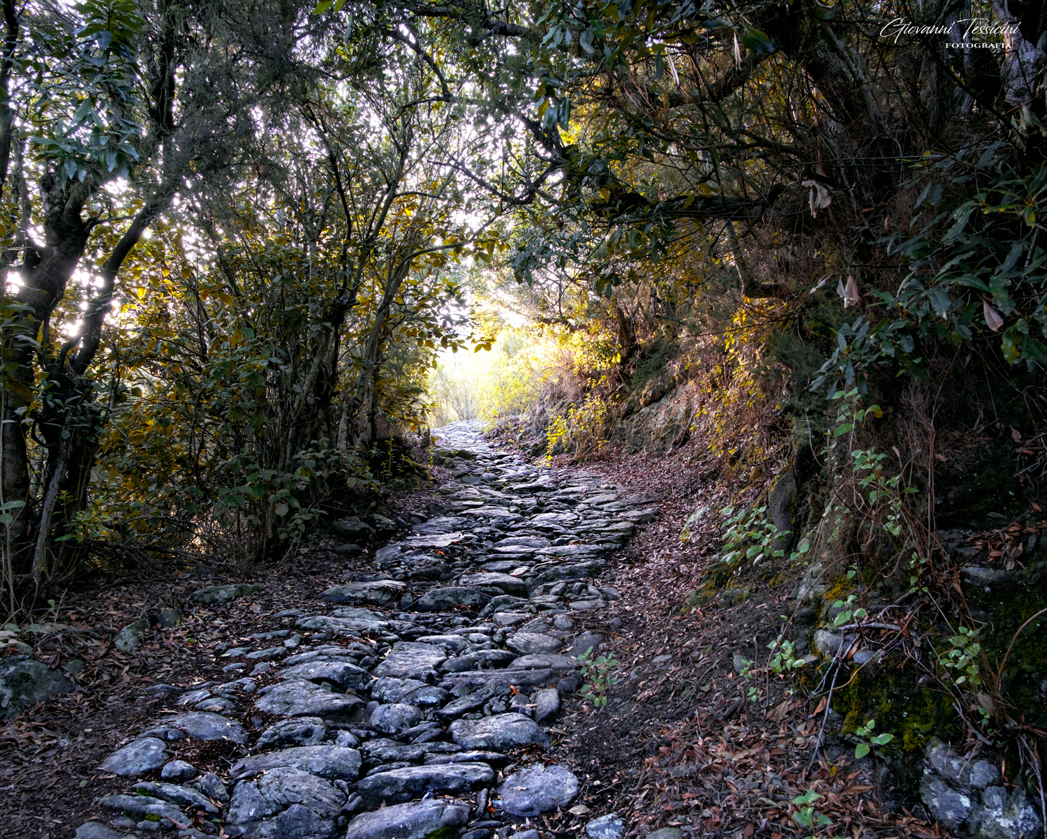 Path