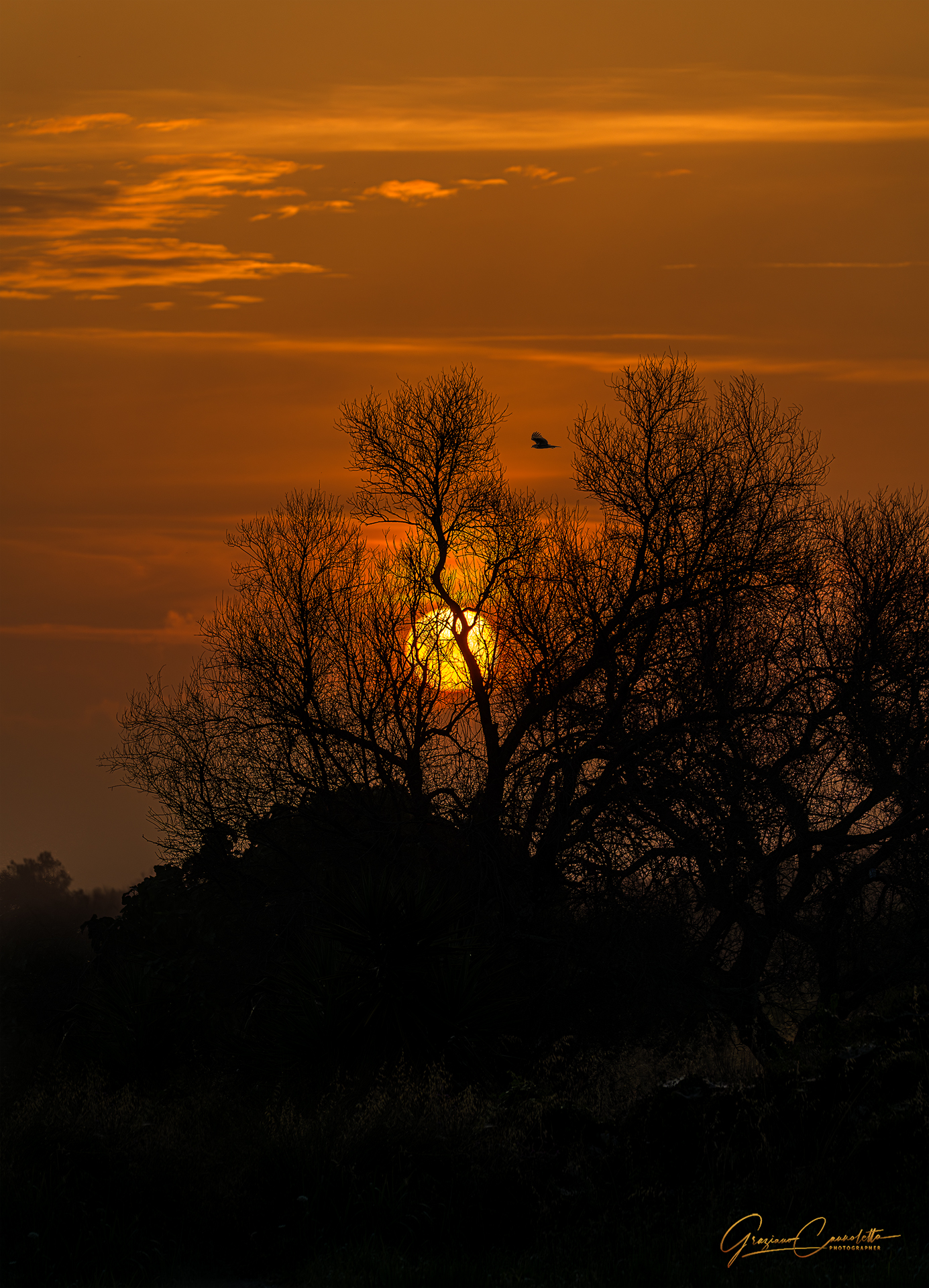 Sunrise in Acaya