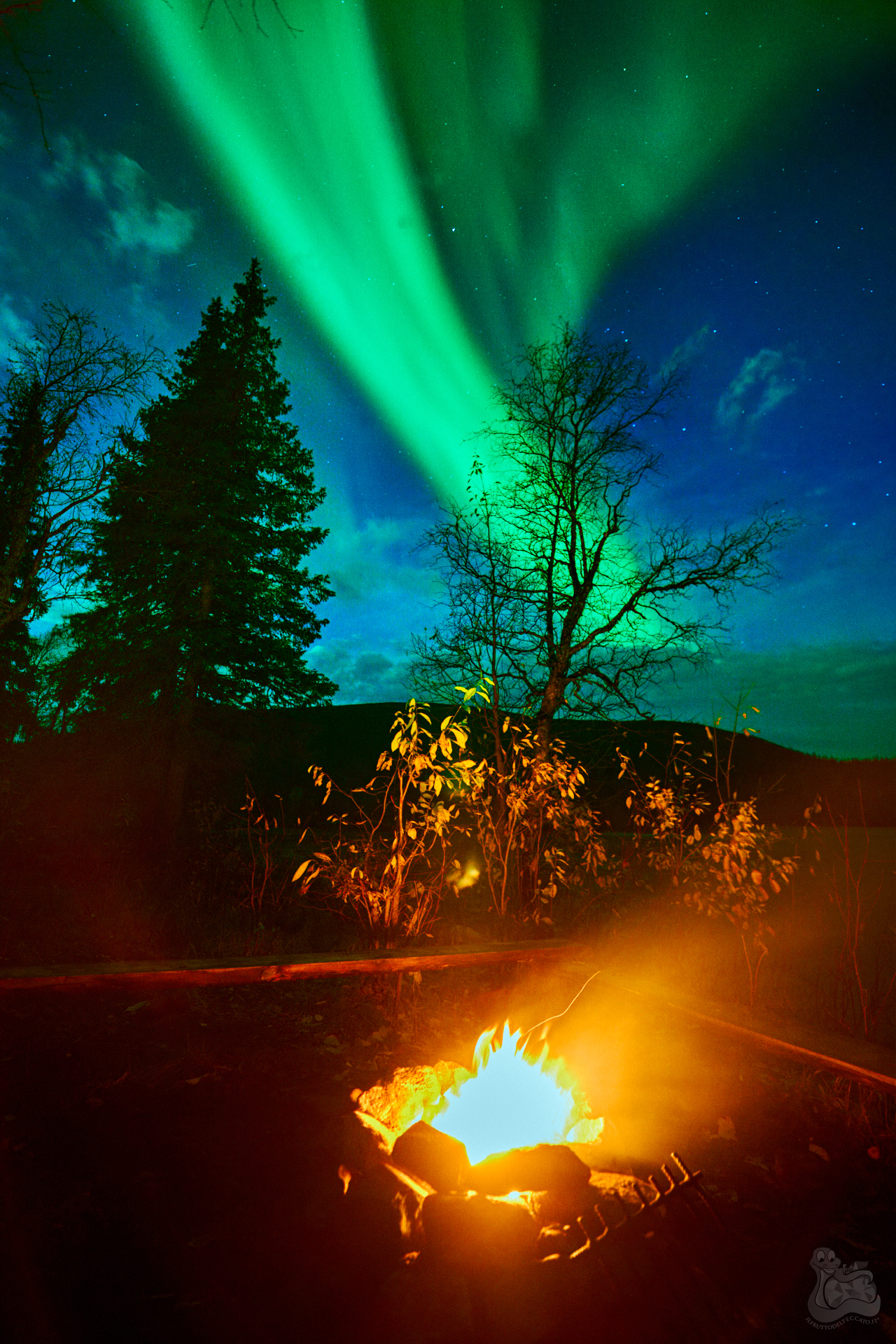 Non succede...ma se succede!