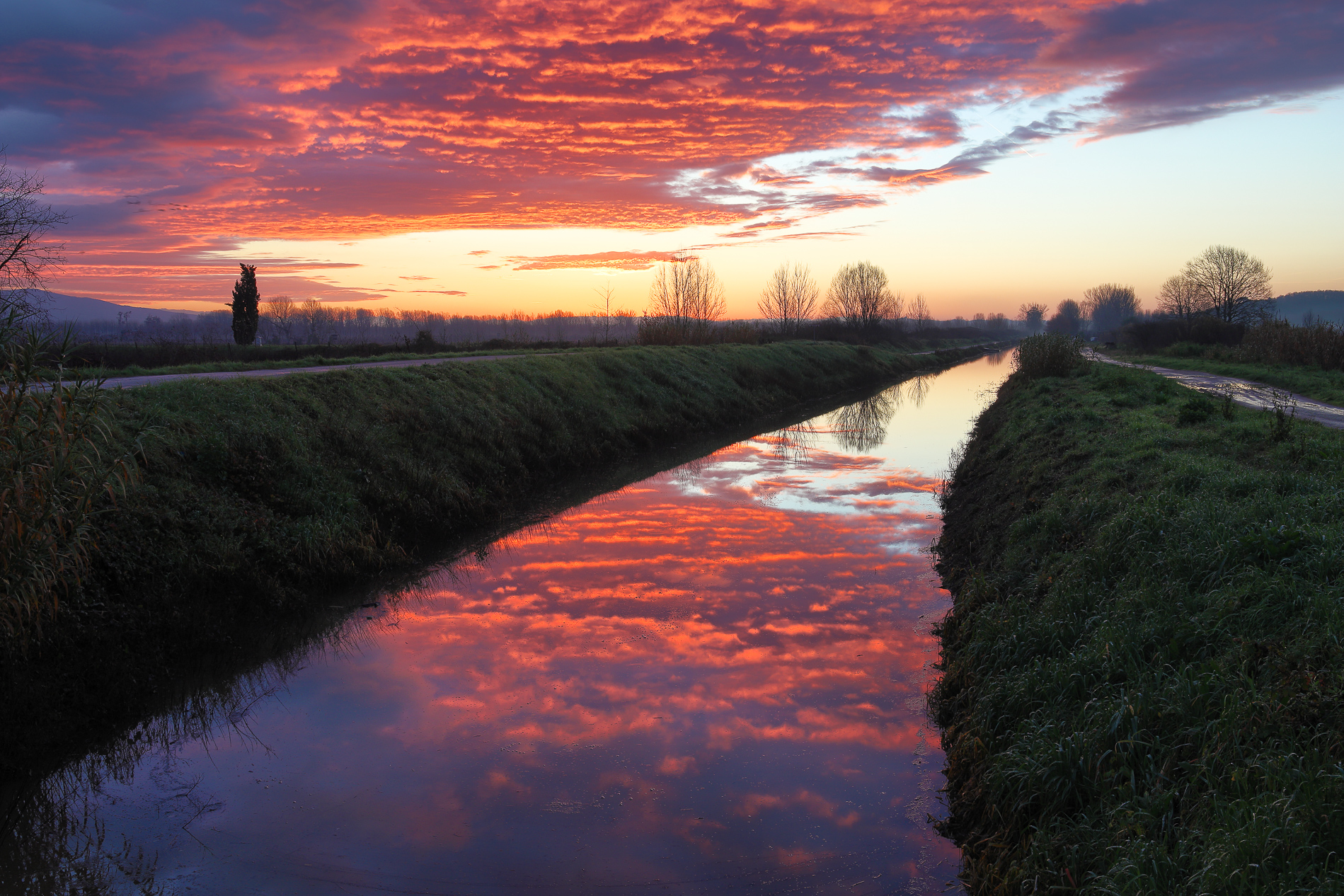 Marshes and clouds