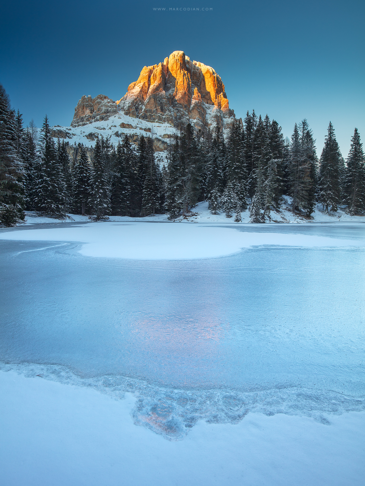 Pandoro Dolomitico