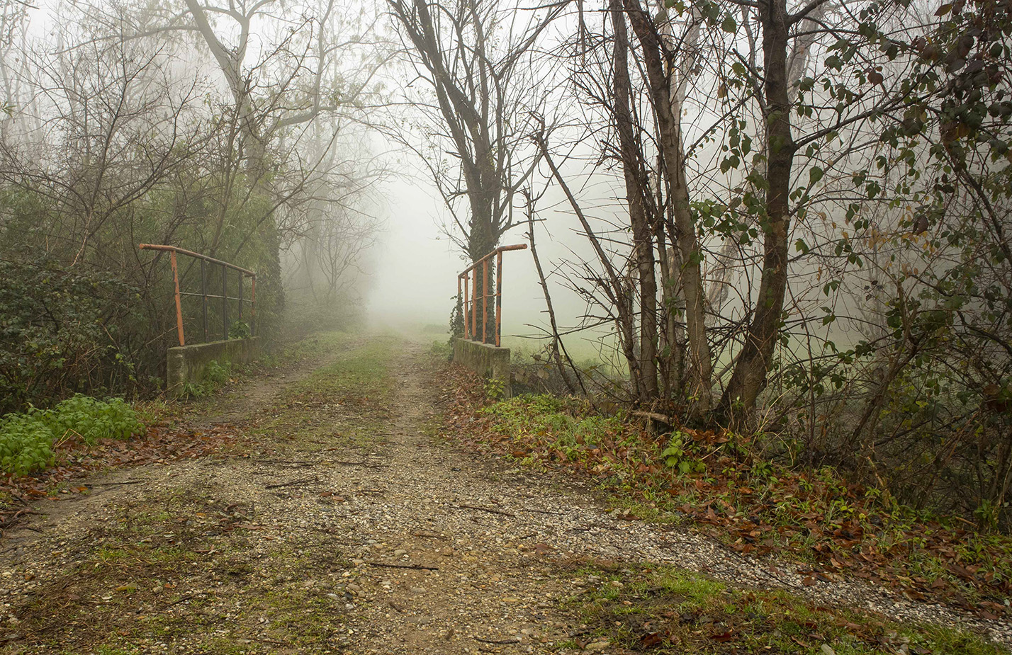 Una passeggiata con la  nebbia