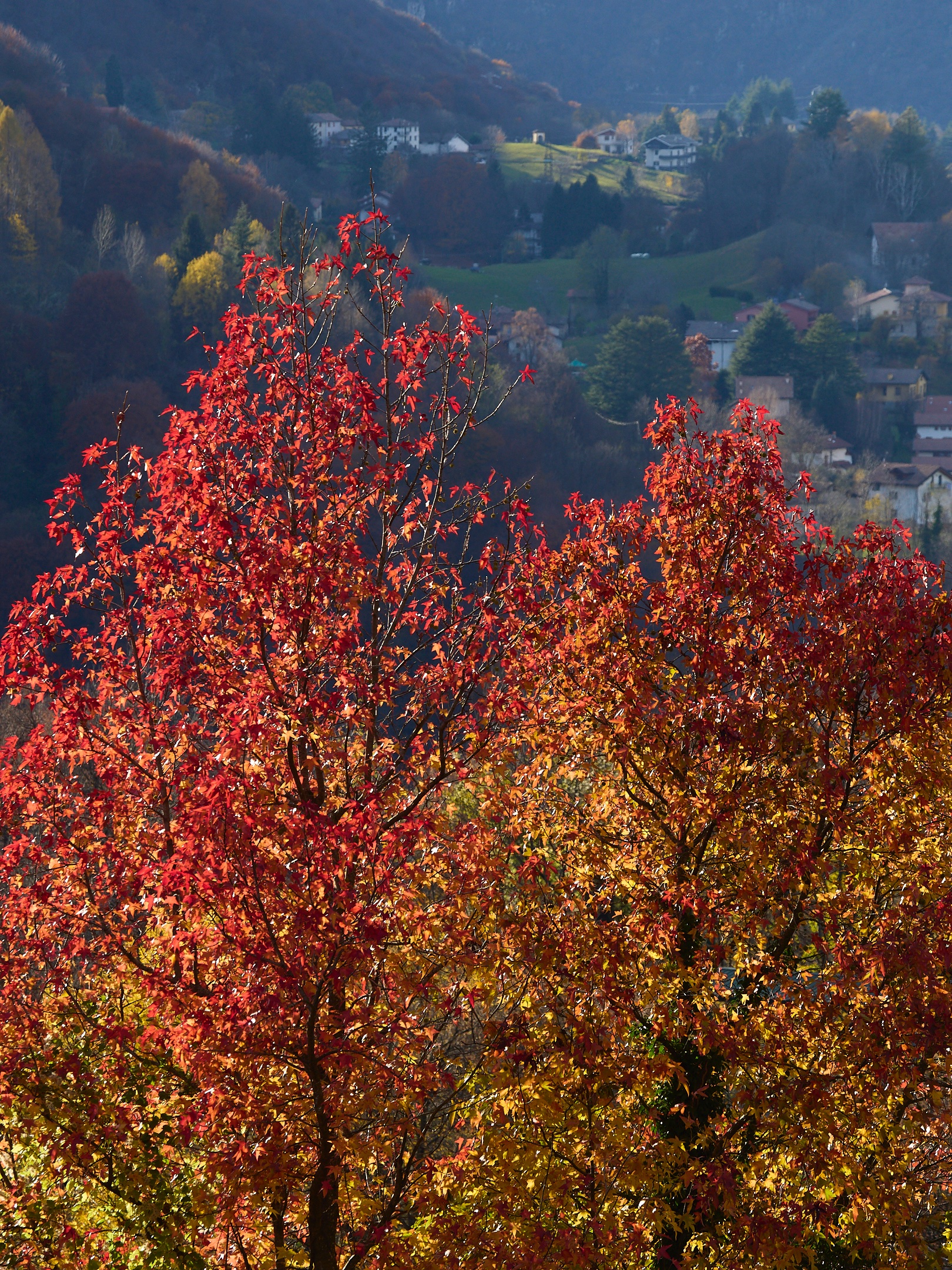 Autumn in Valsassina