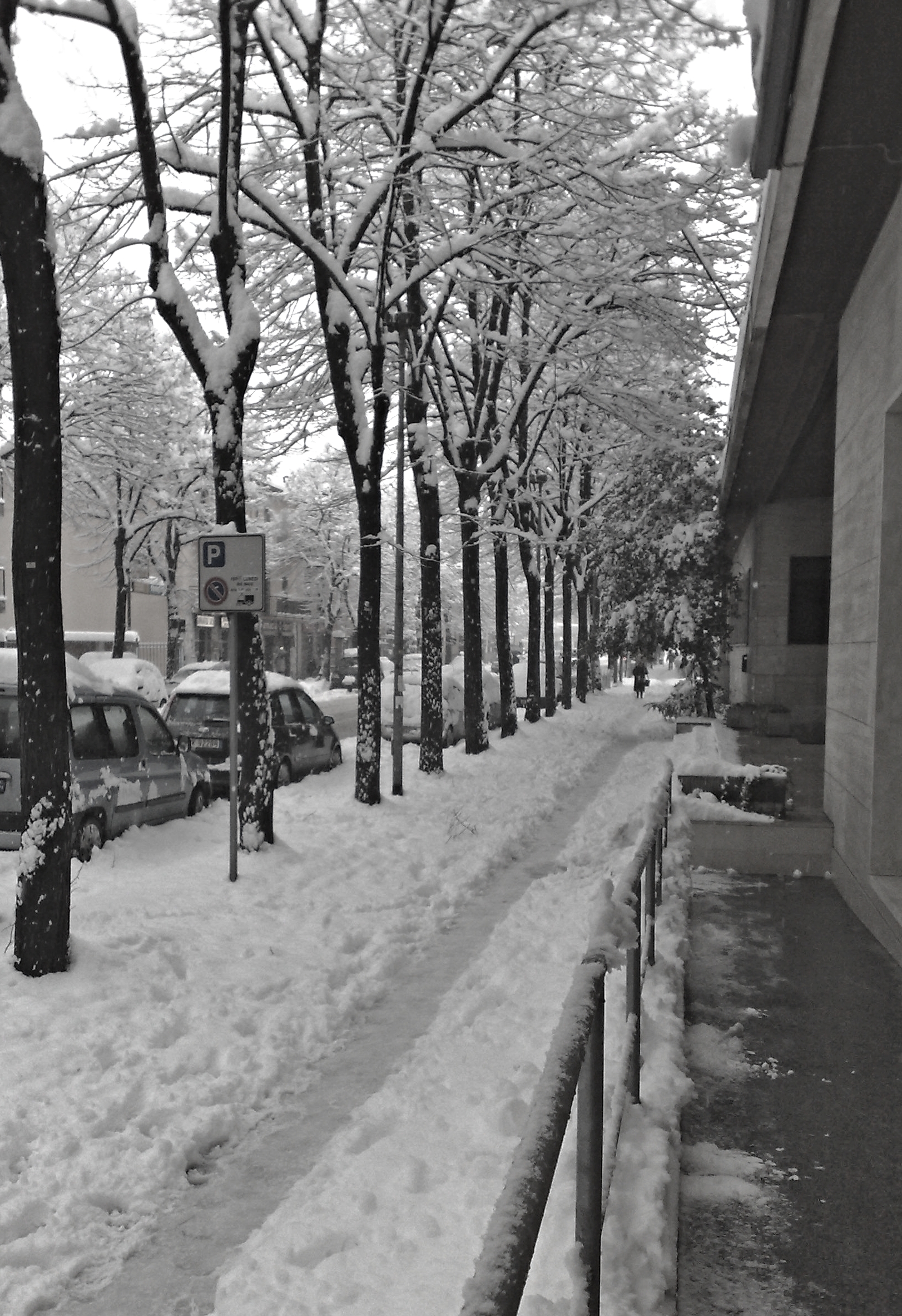 Snowfall in Pavia in January 2009