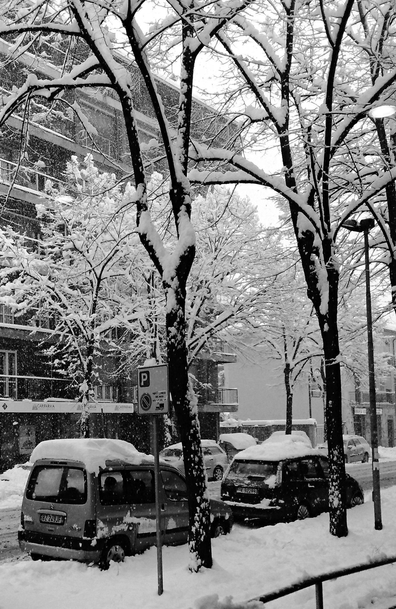 Snowfall in Pavia in January 2009