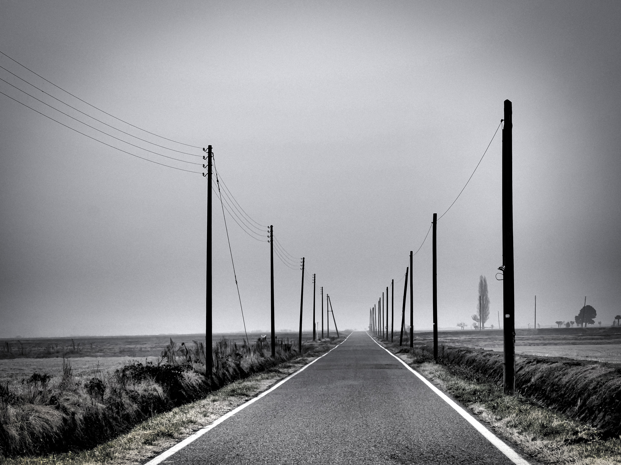 Lunga e diritta...forse