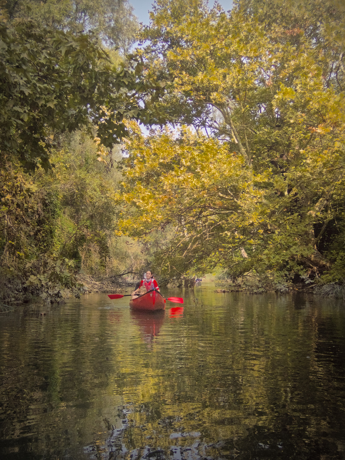 Adda River - Brivio #1
