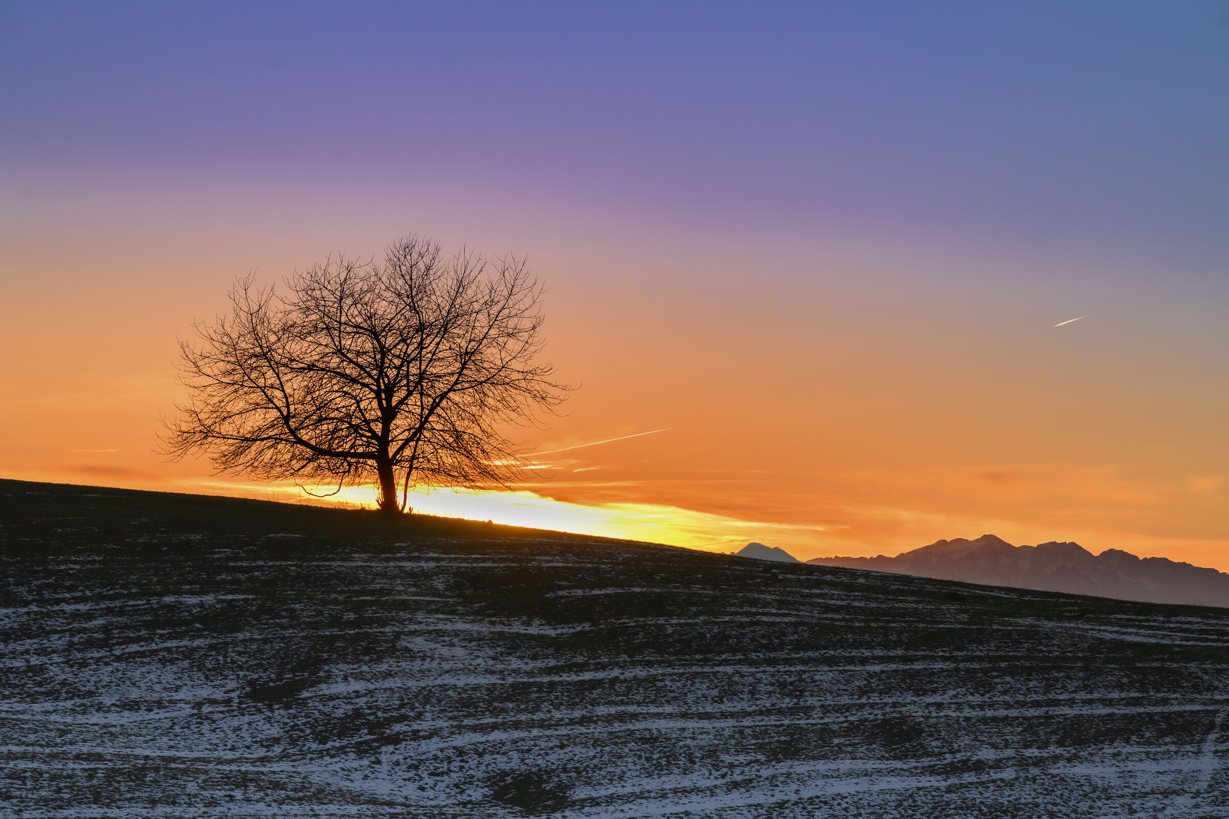 Contemplando l'infinito