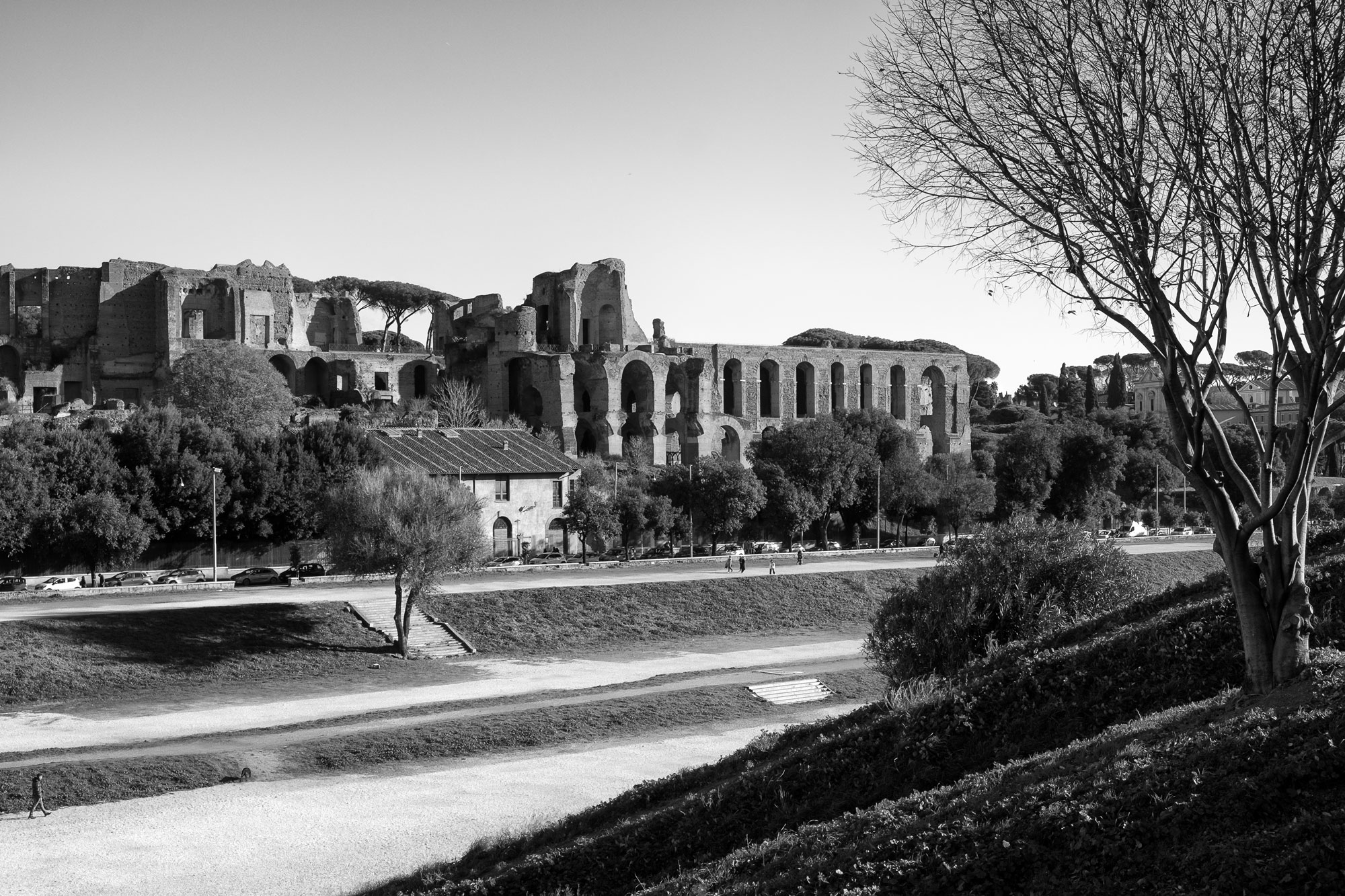 Circus Maximus