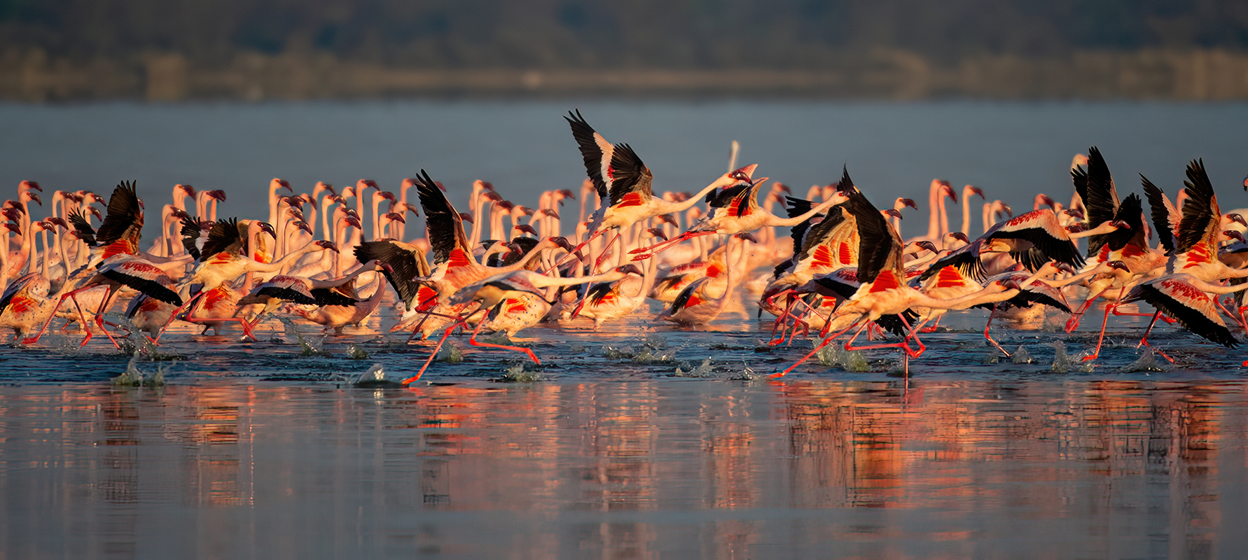 Pronti - Partenza - Via