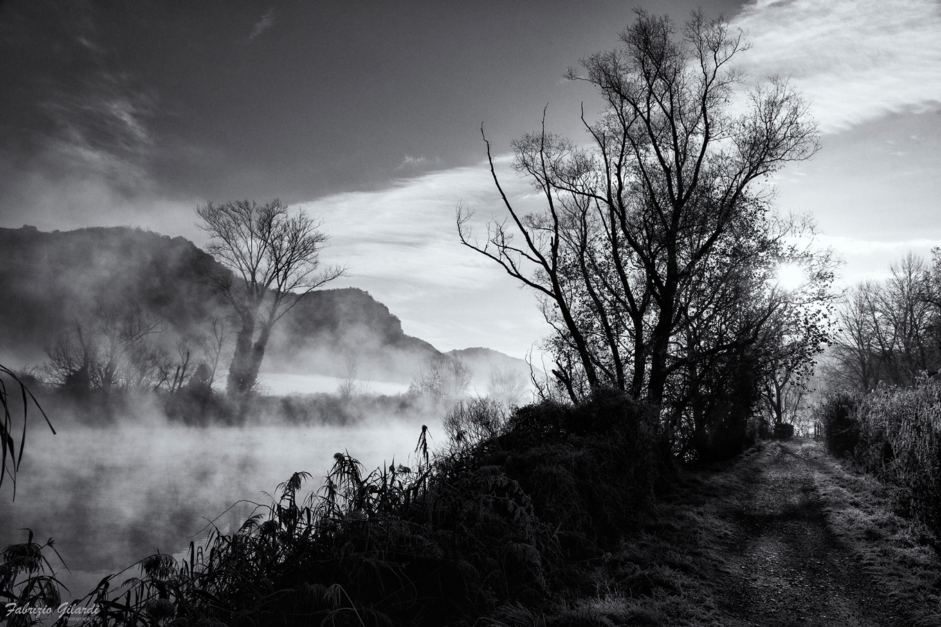 Untitled Photo