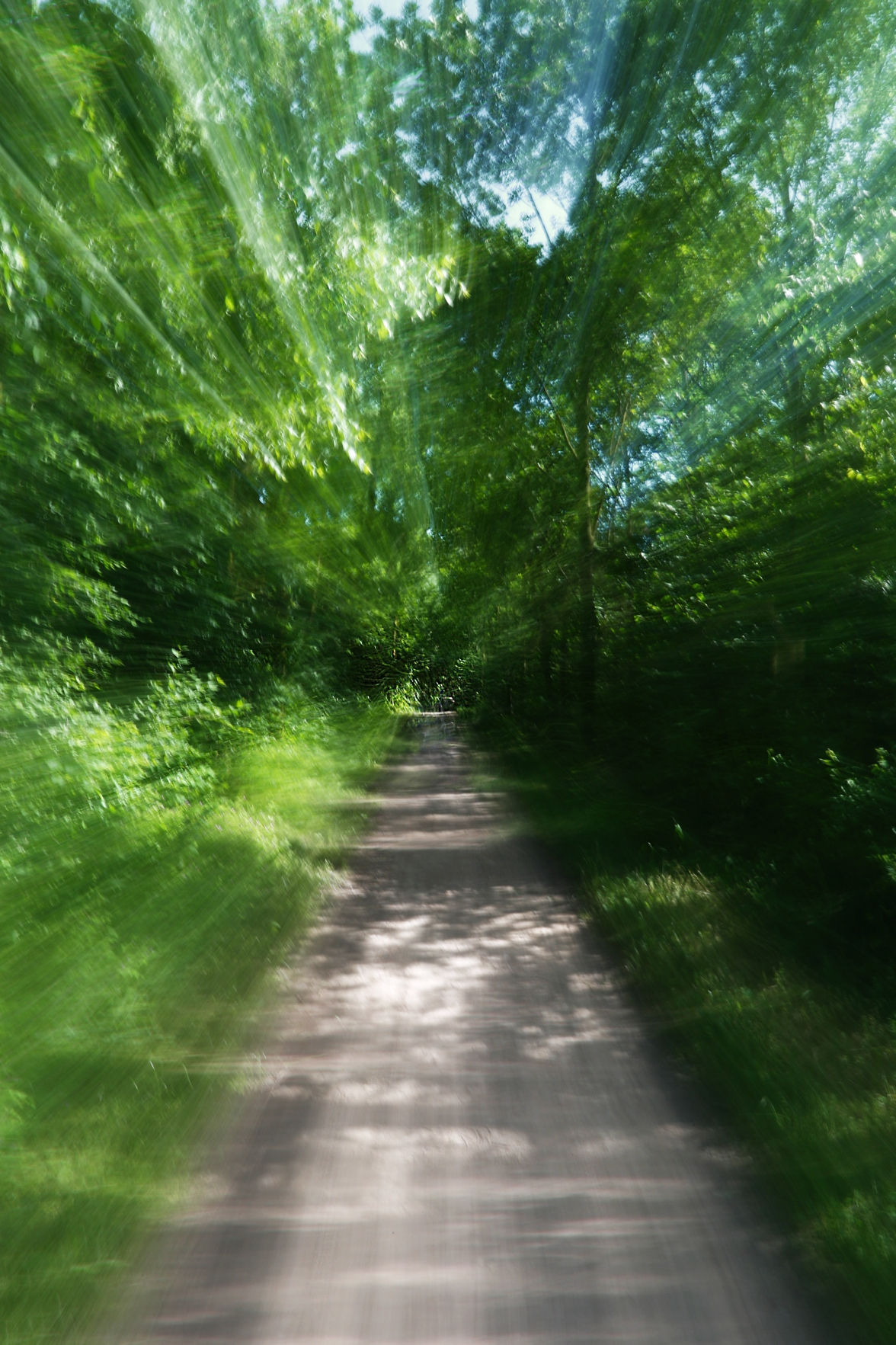 running in the forest