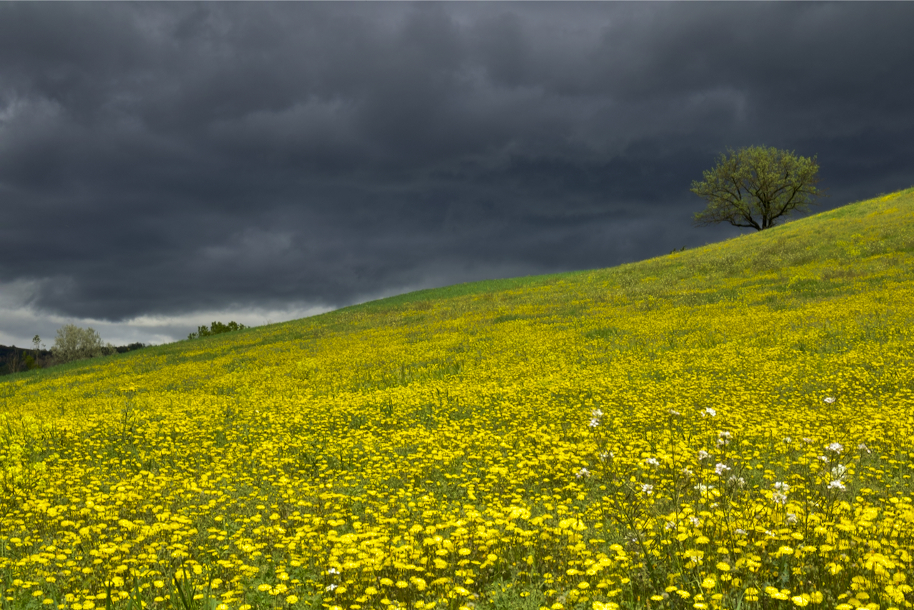 Spring in Oltrepò - April 2022