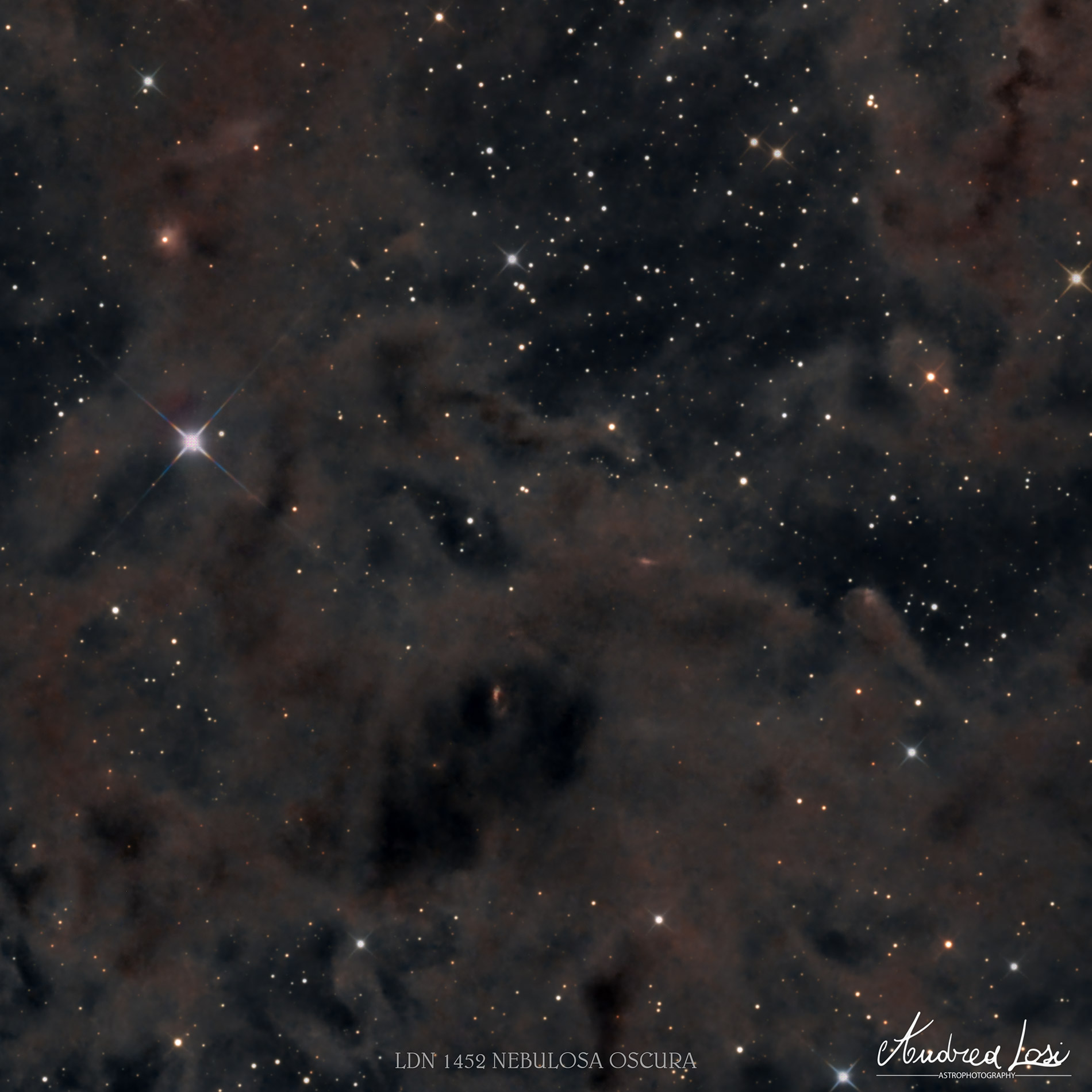 LDN 1452 nebulosa oscura