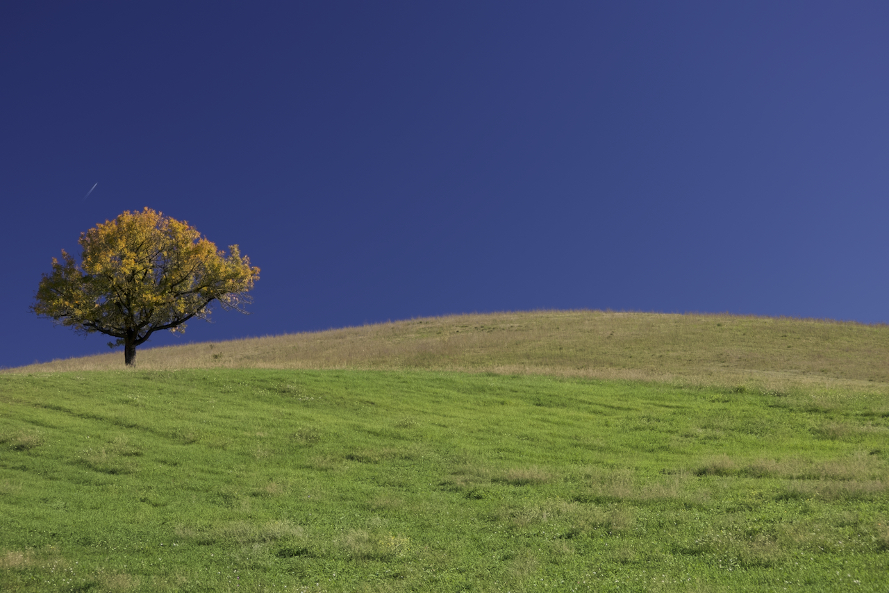 Oltrepò in autumn - November 2023