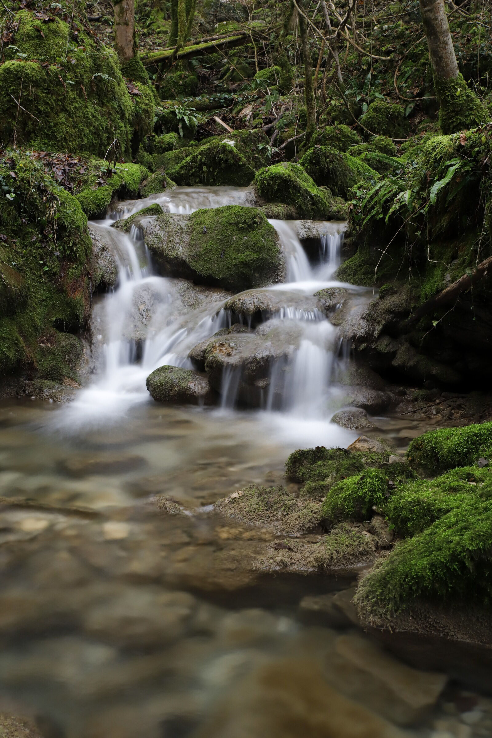Cascate di kot