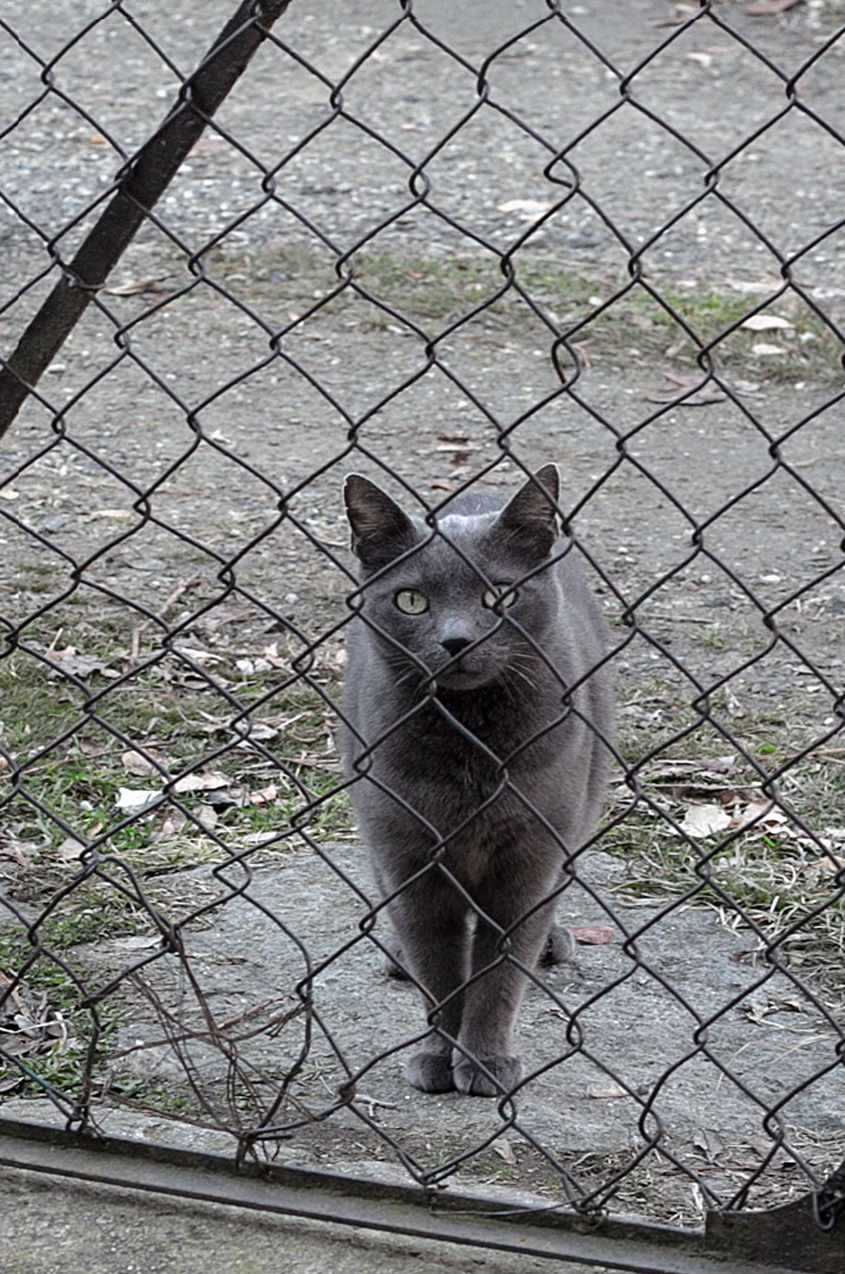 Unexpected guest, but welcome..