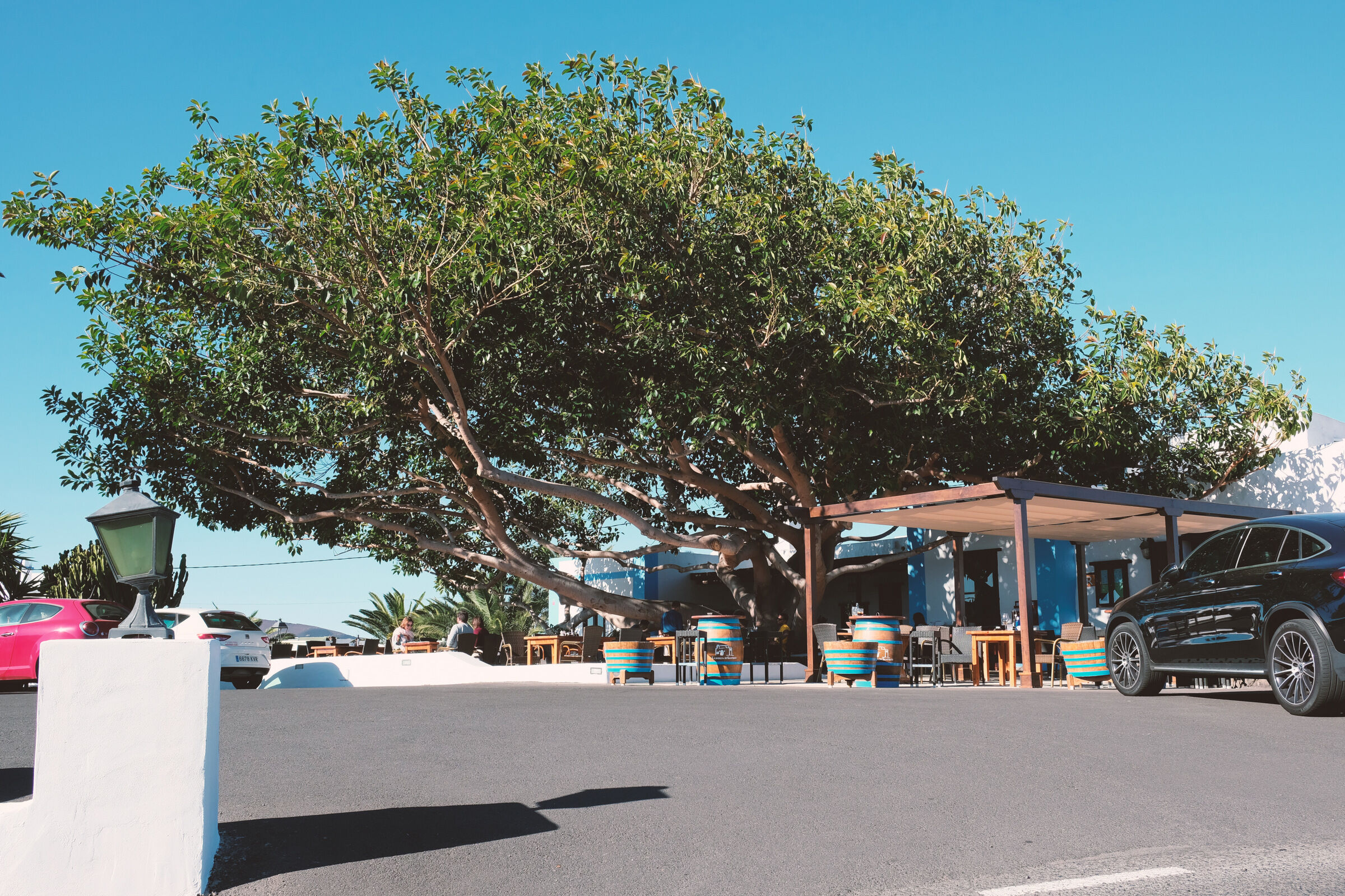 RTE LA BODEGA DE SANTIAGO - YAIZA