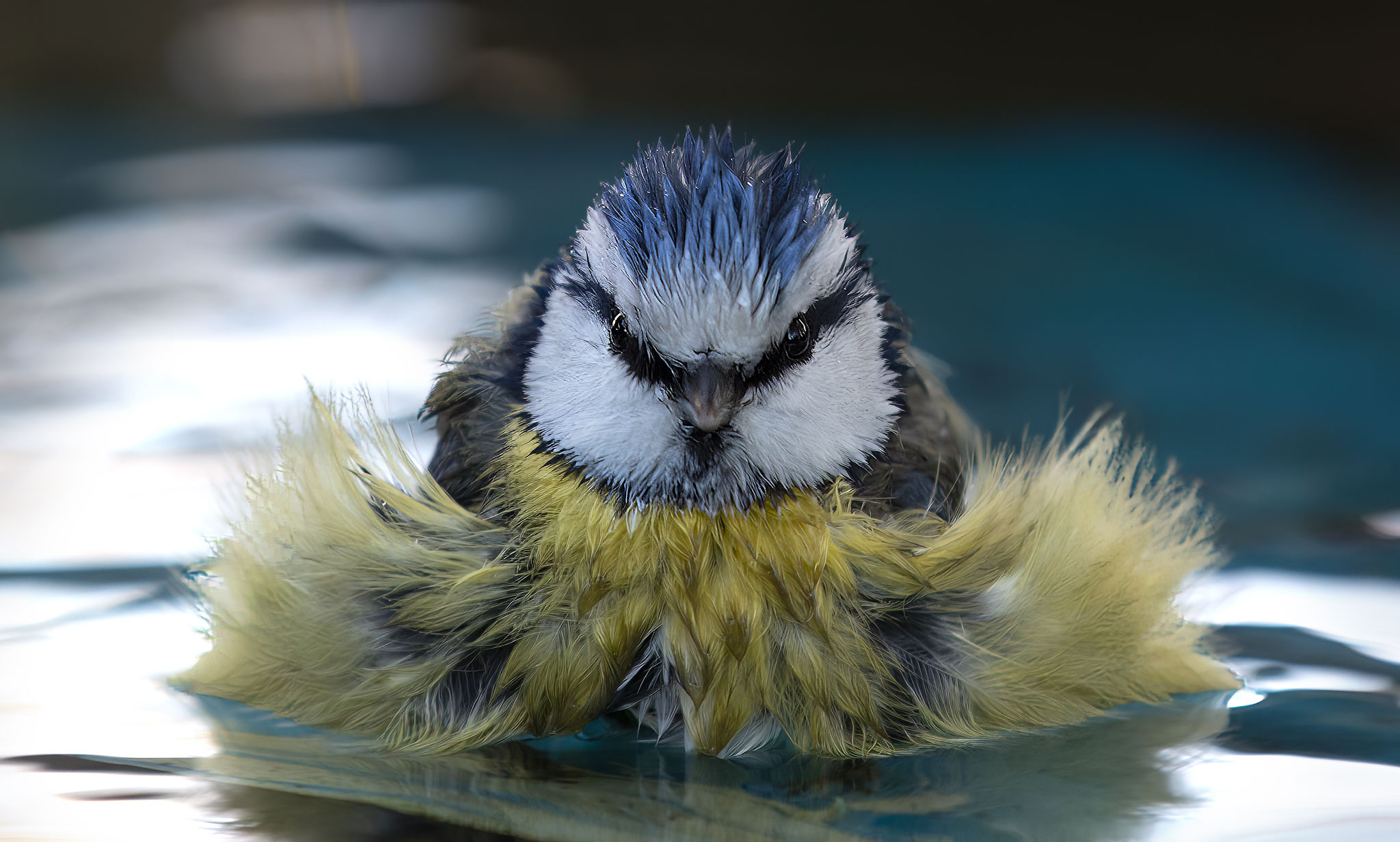 Cotton ball in the bath