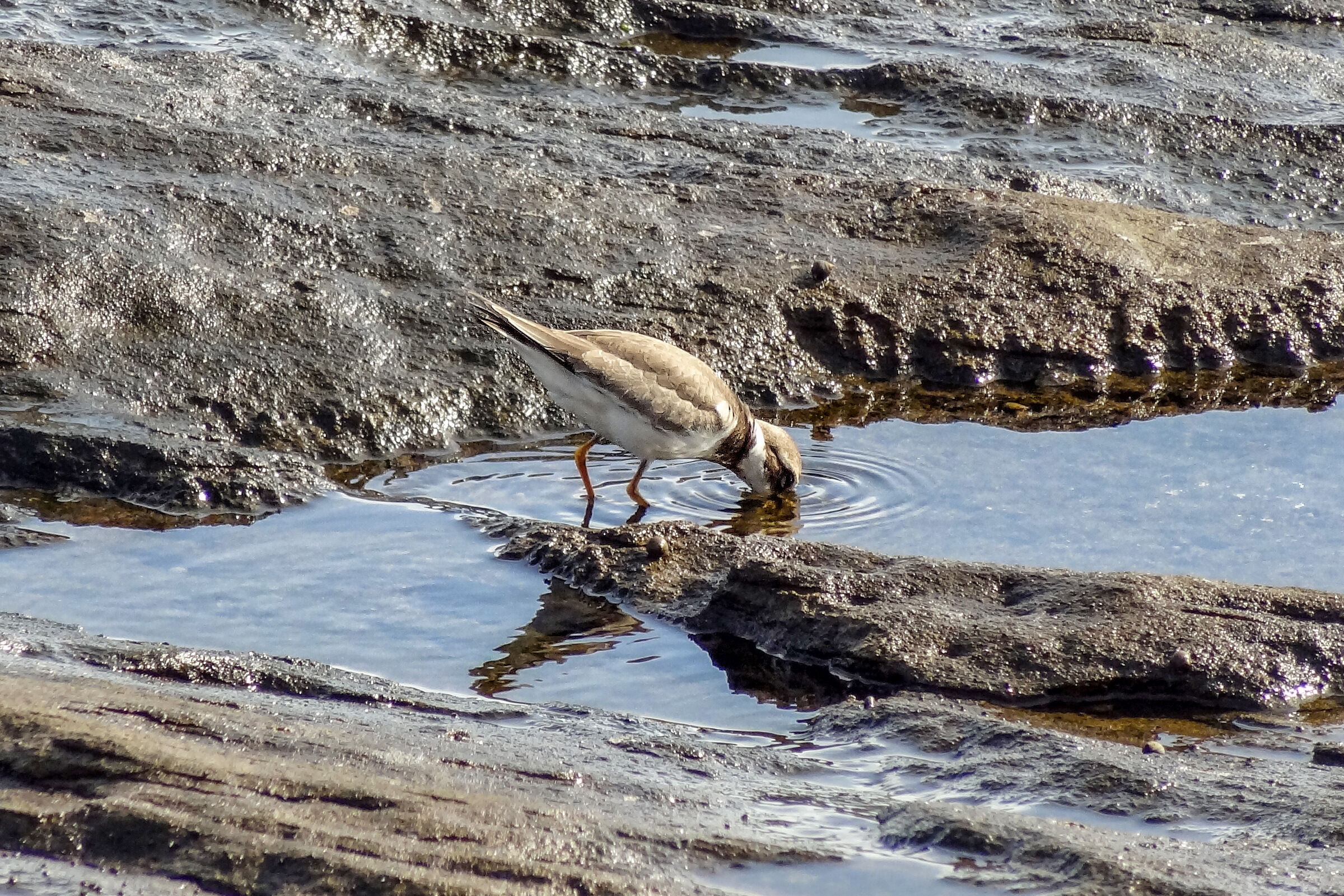 PLAYA MONTAÑA AMARILLA