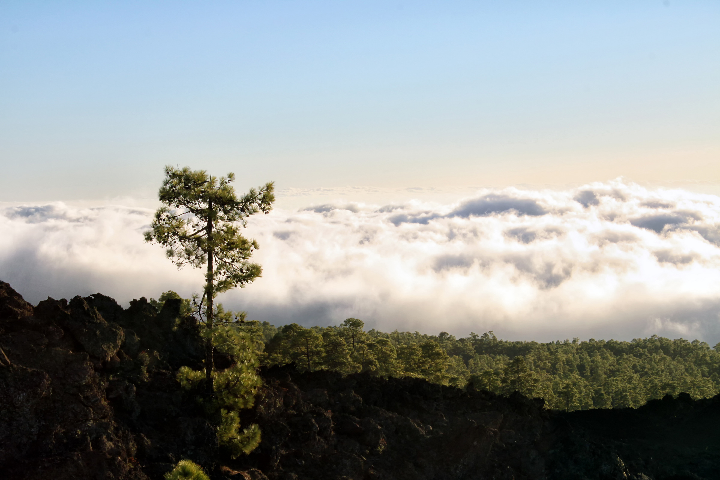 TF-38 MIRADOR DDE SAMARA