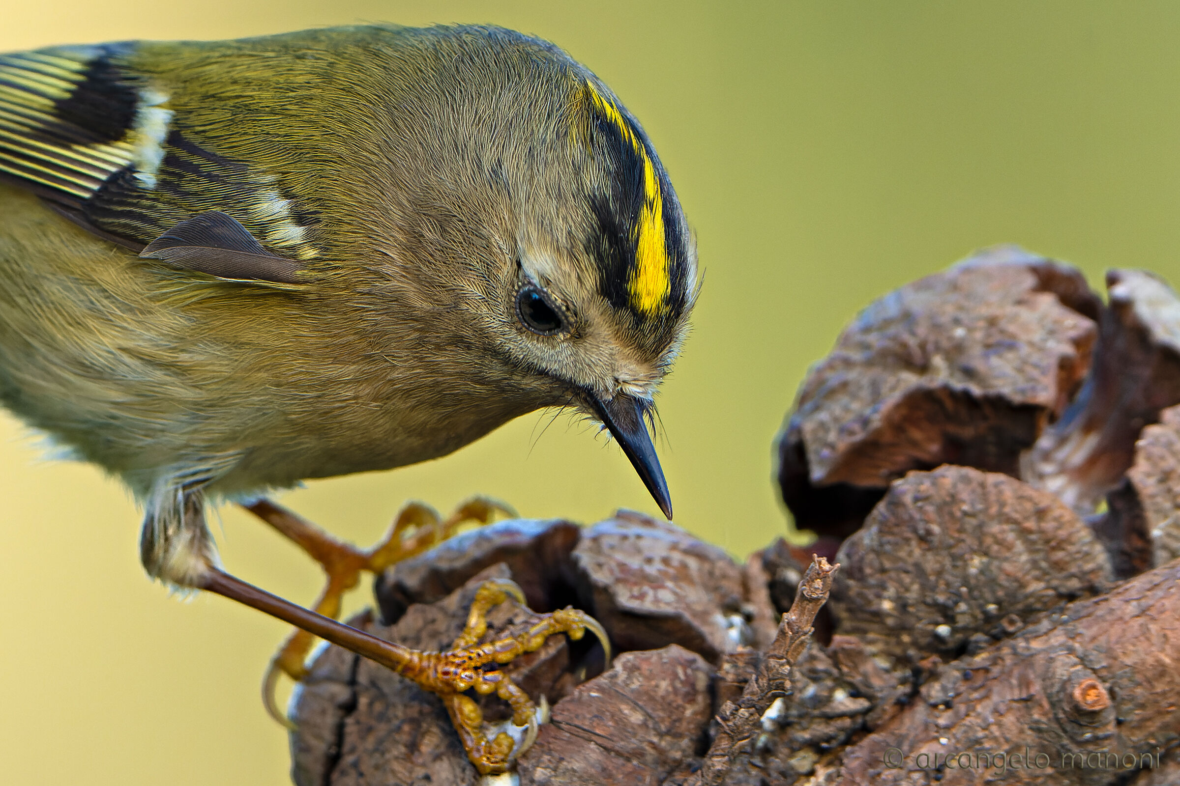 Straight edge details