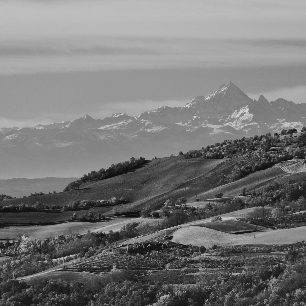 Oltrepò and Monviso - November 2023