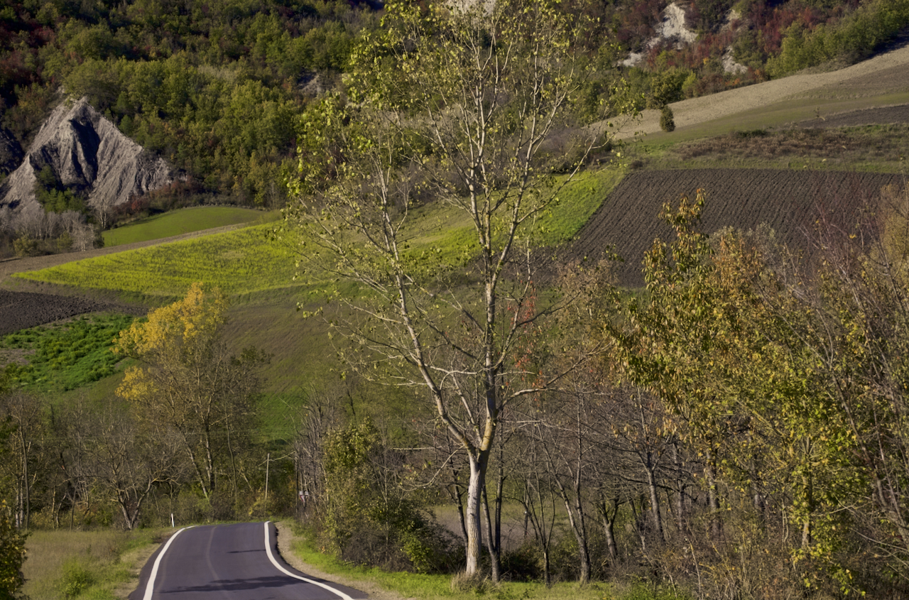 Autumn in Val di Nizza (PV) - November 2023