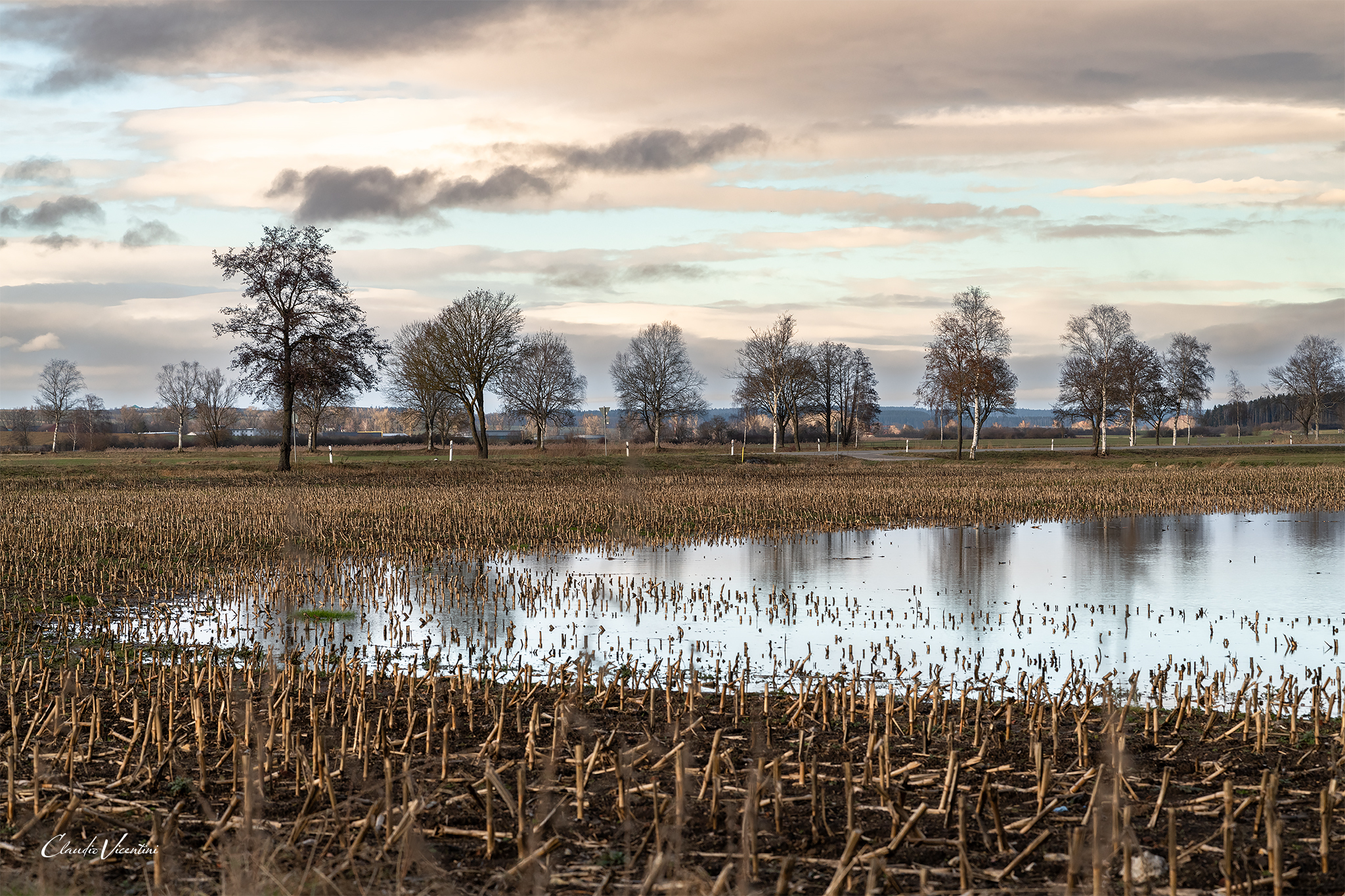 Paesaggio Foresta Nera Freiburg Germania