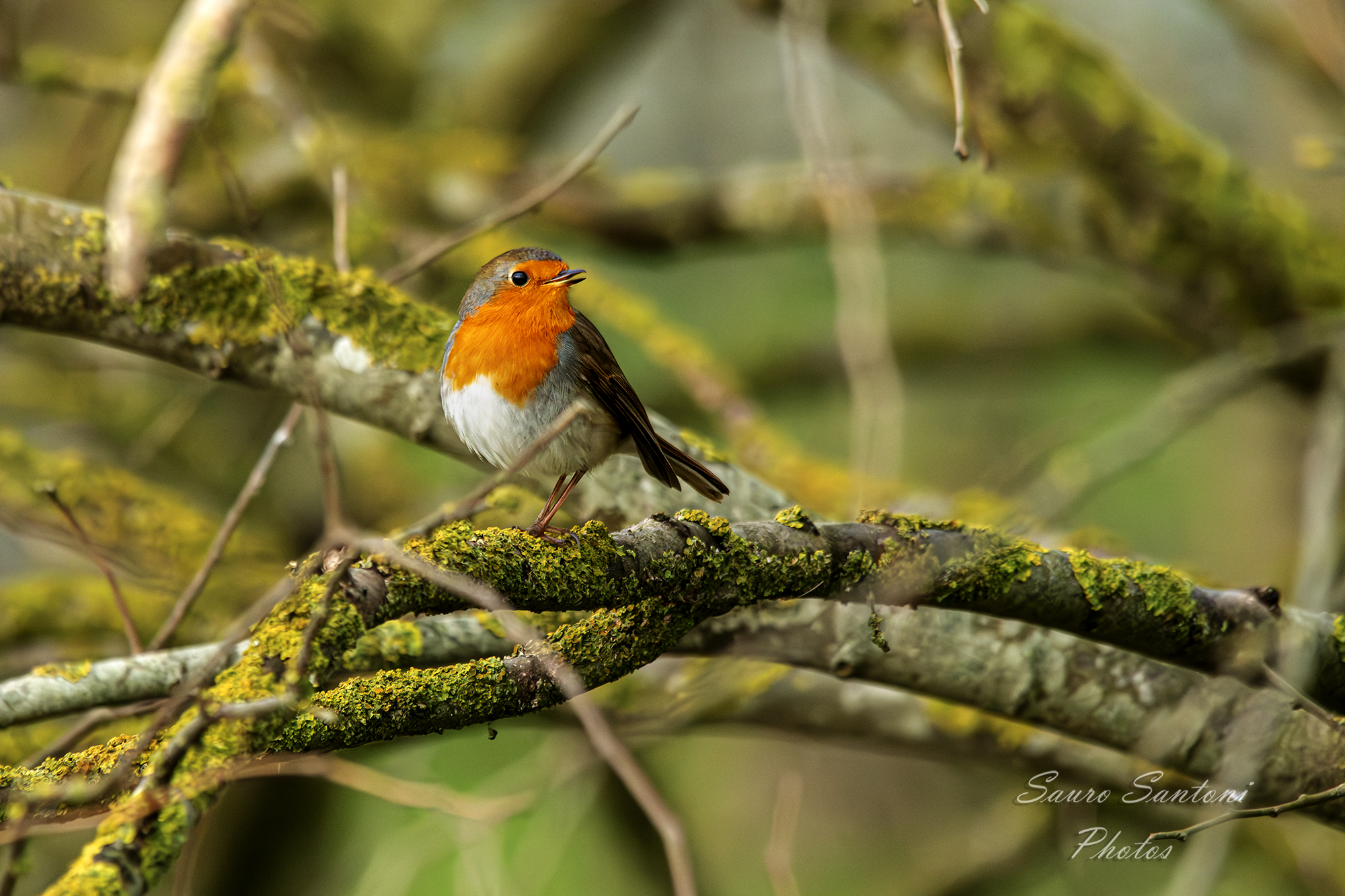 Metodo Marianna Santoni