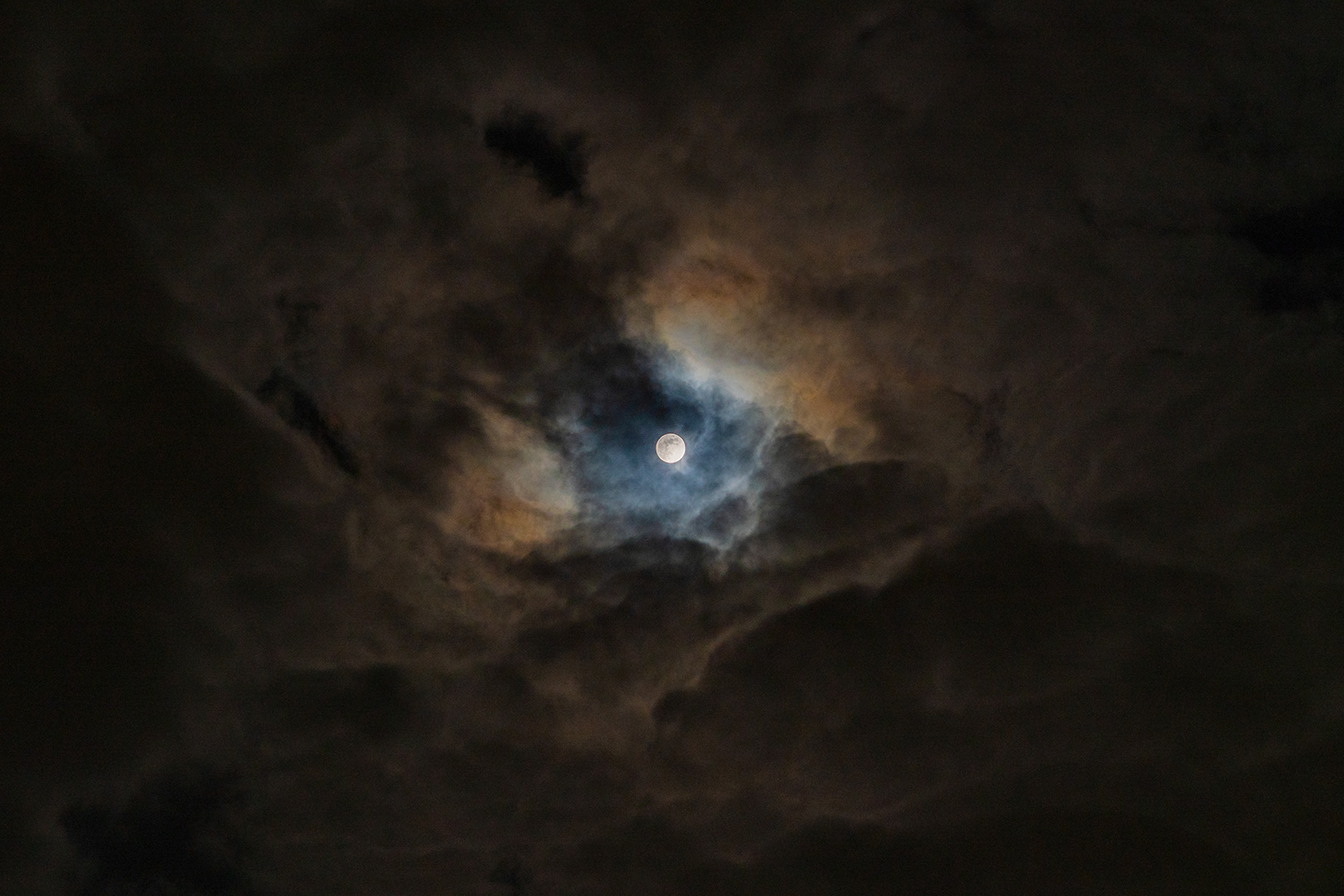 With your head in the clouds