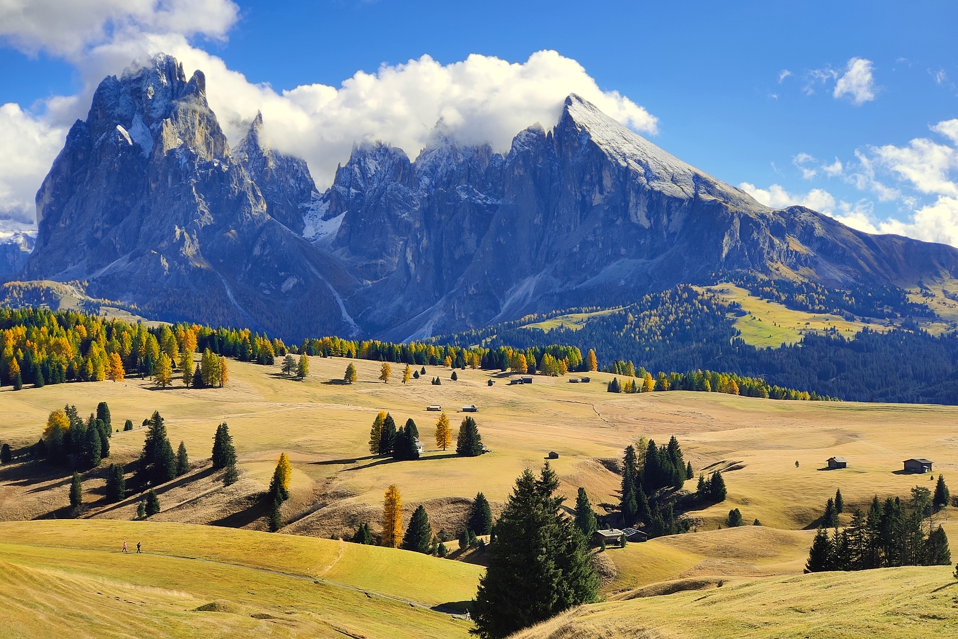 Alpe di Siusi, Sassolungo Sassopiatto.