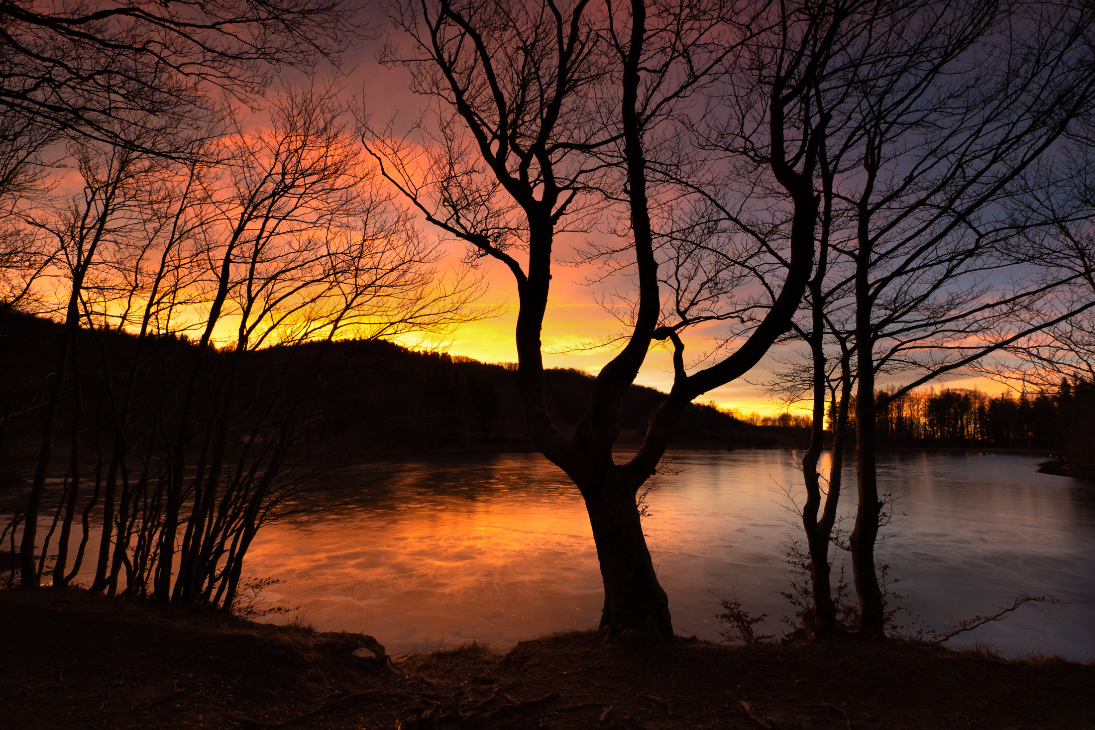 Riflessi sul lago dorato