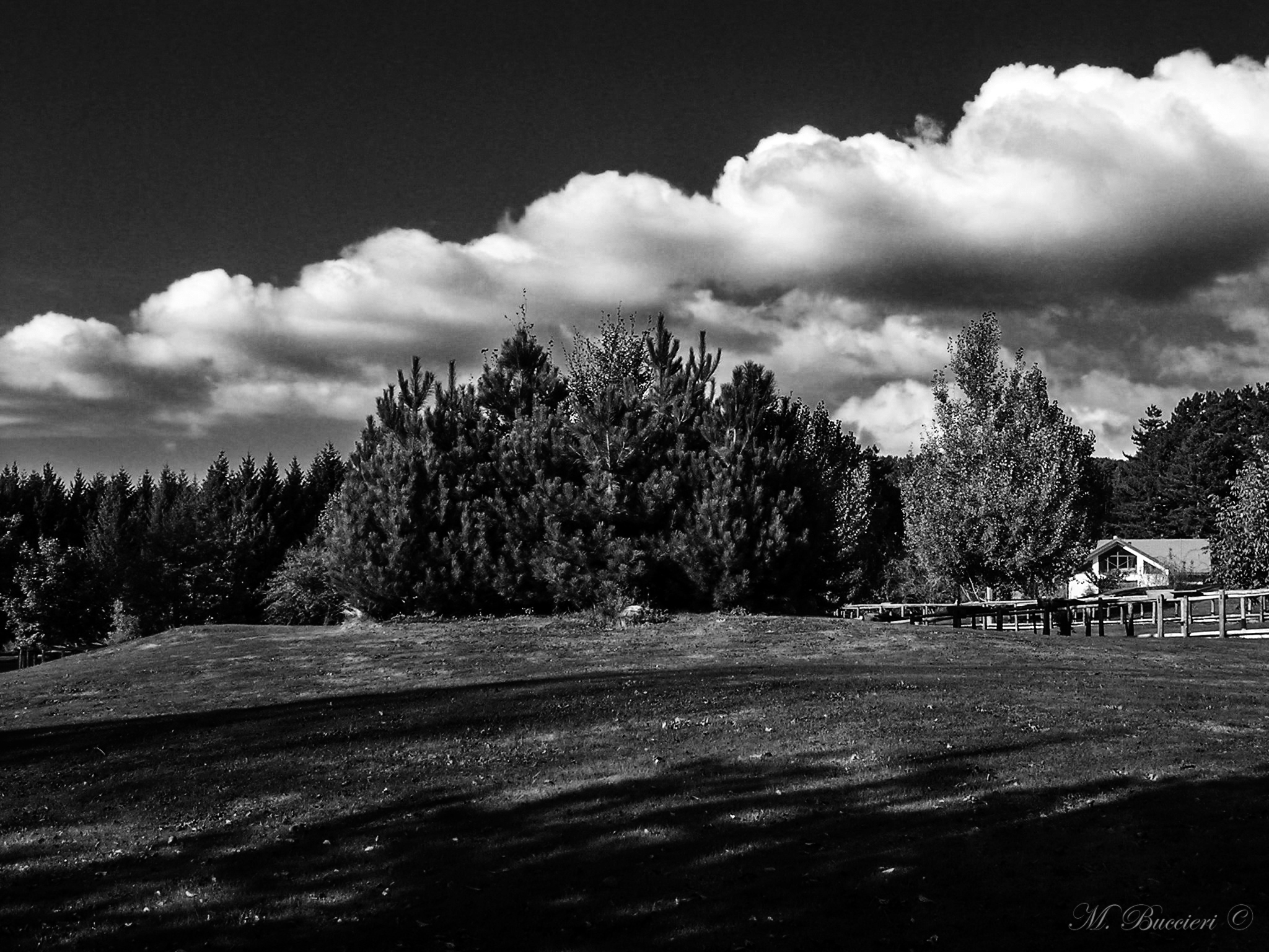 Sila National Park. Cosenza