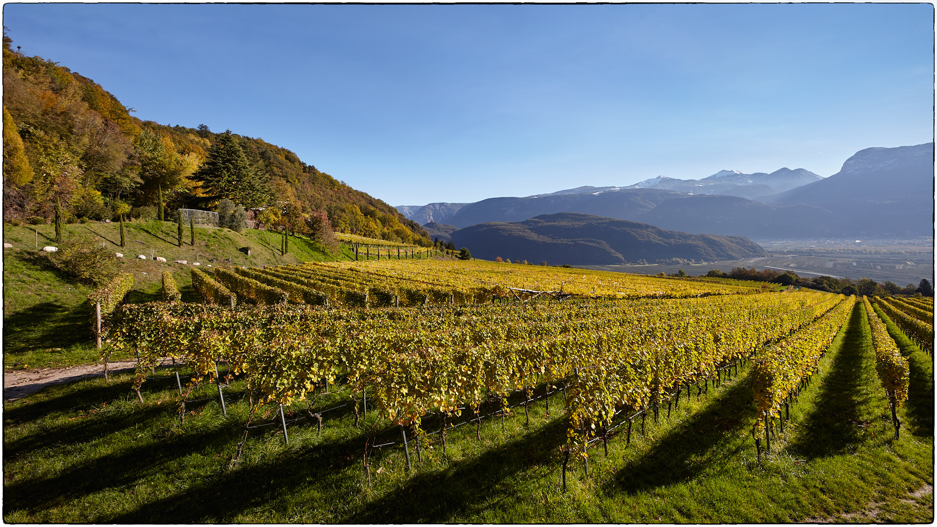 View of the Adige Valley