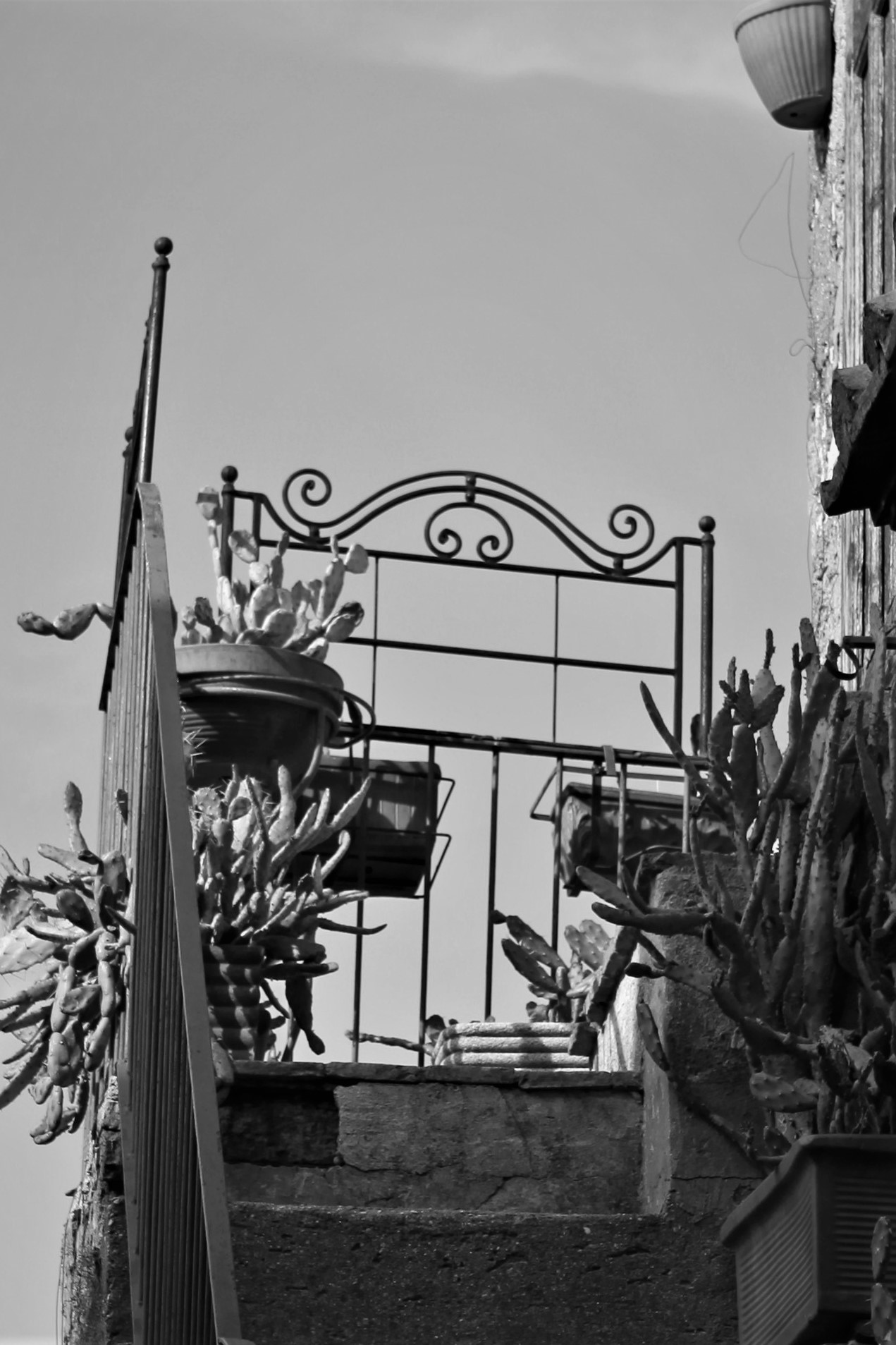 Cancello del paradiso