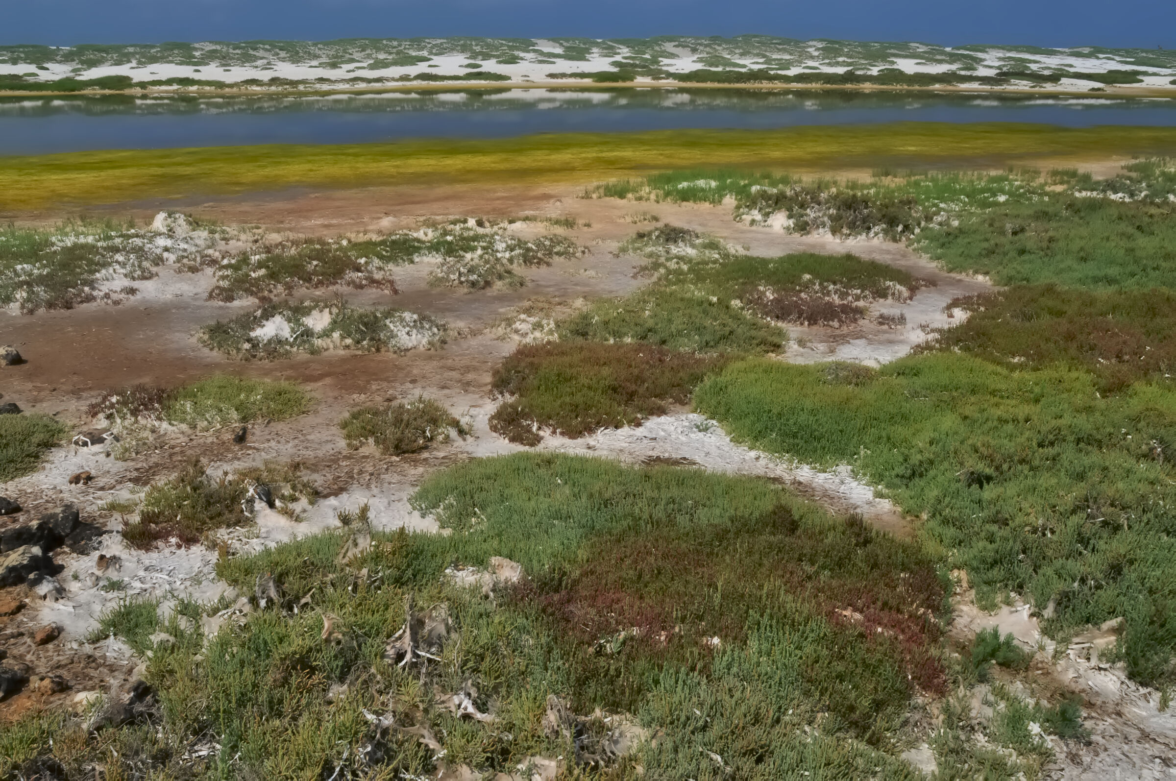 Quando la natura dipinge il territorio ...