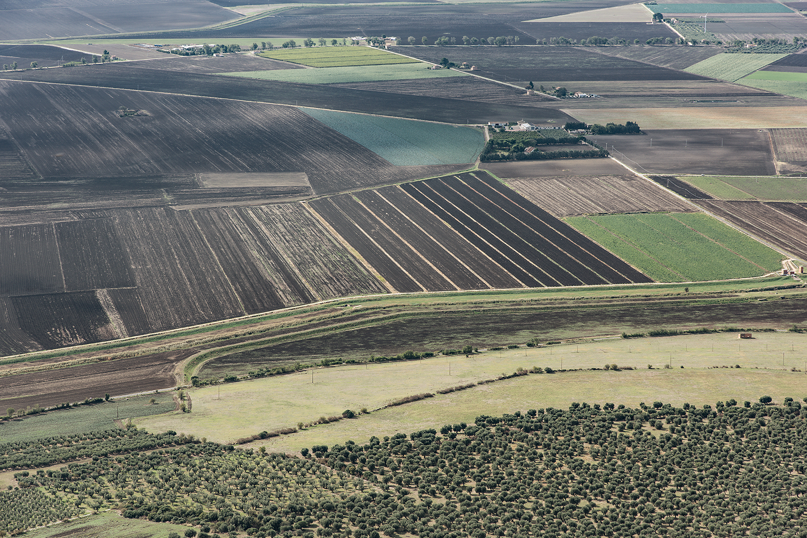 Agricoltura e geometrie