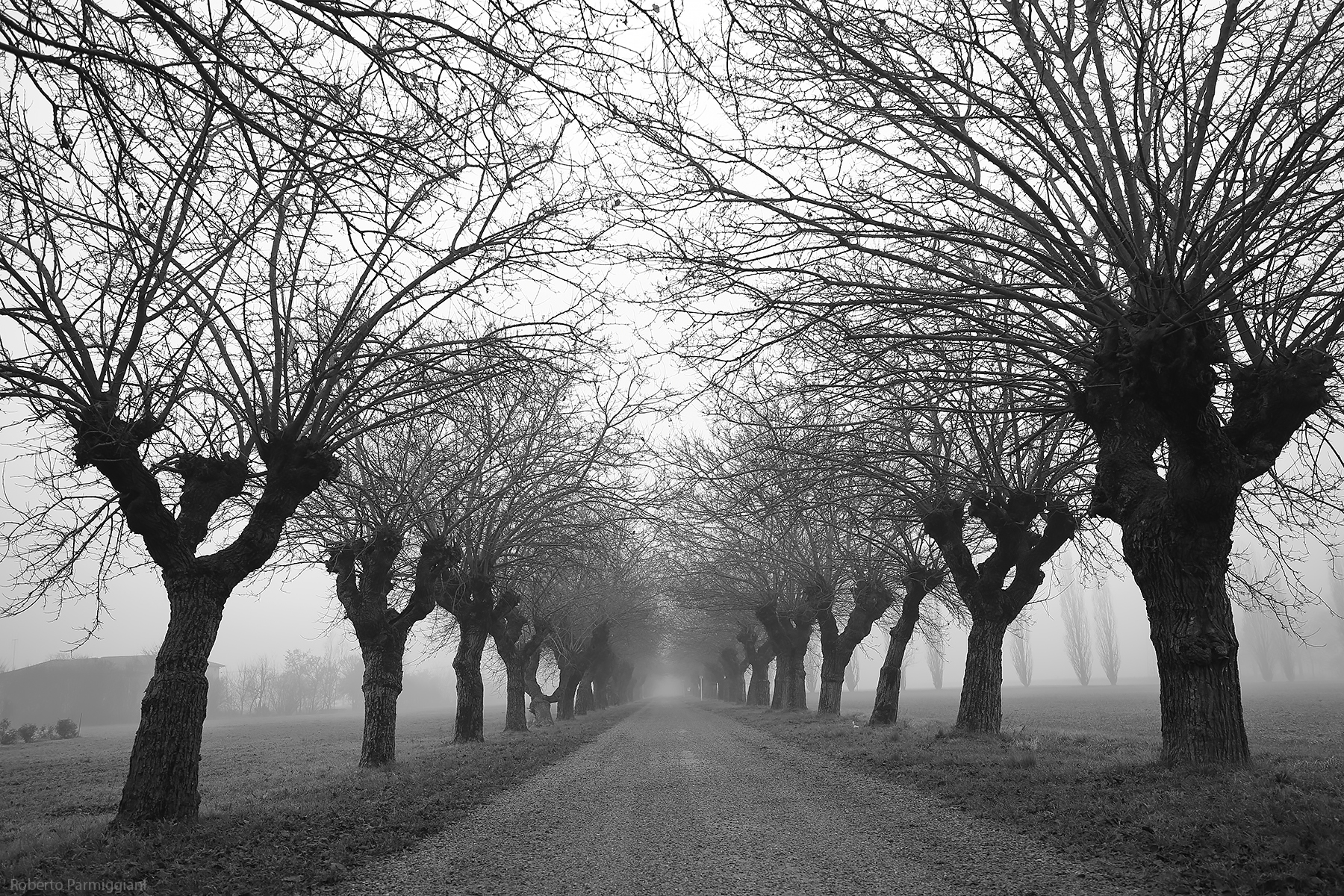 Where the Streets Have No Name