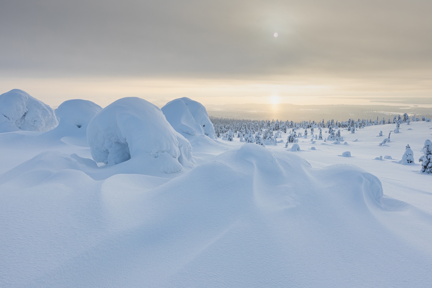 The dawn of a new day