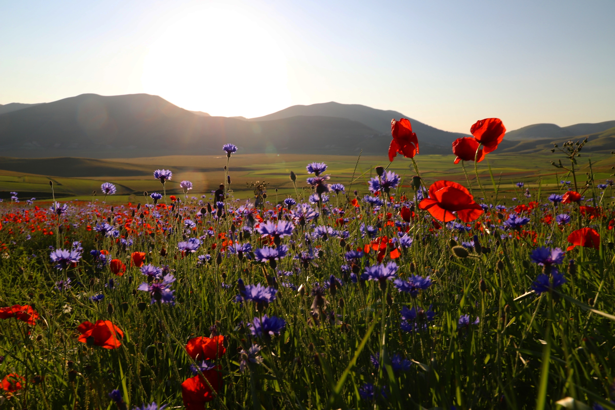 Castelluccio