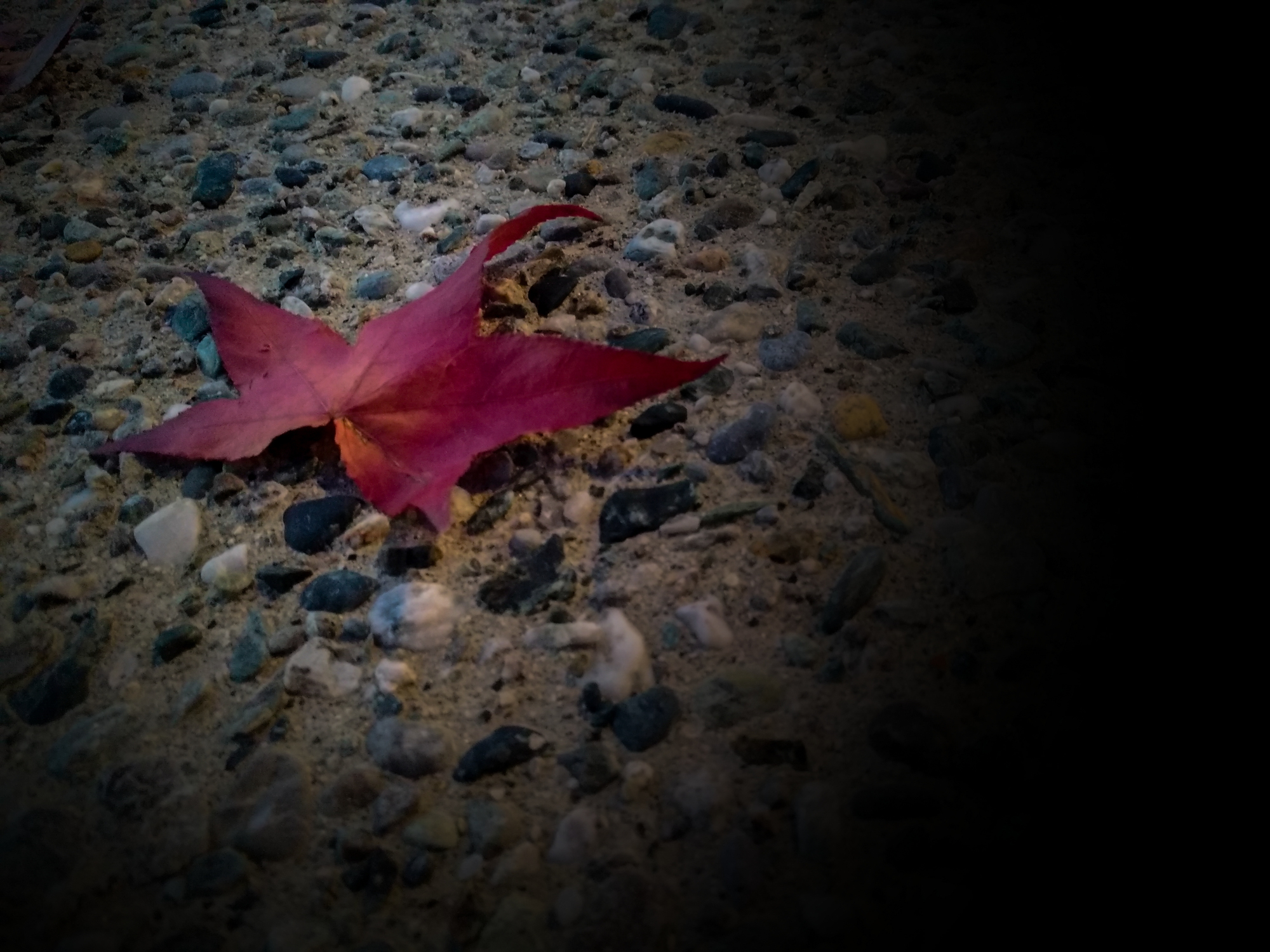 Caduta in stato di ebbrezza.