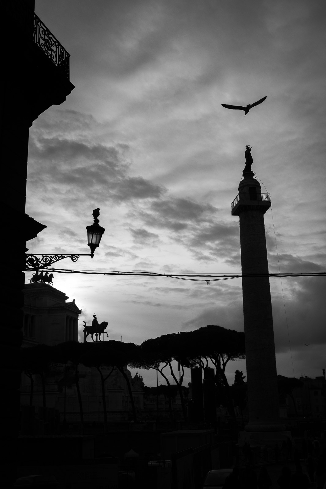 Amo Roma.
