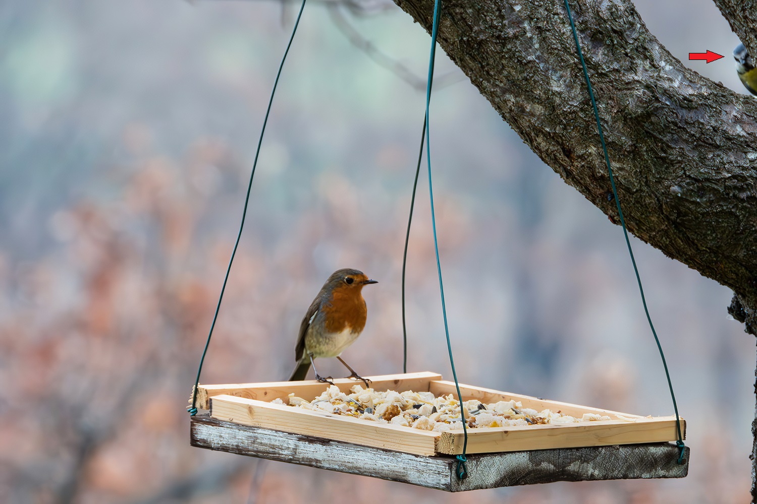 Waiting (wisely) for the beast to go away