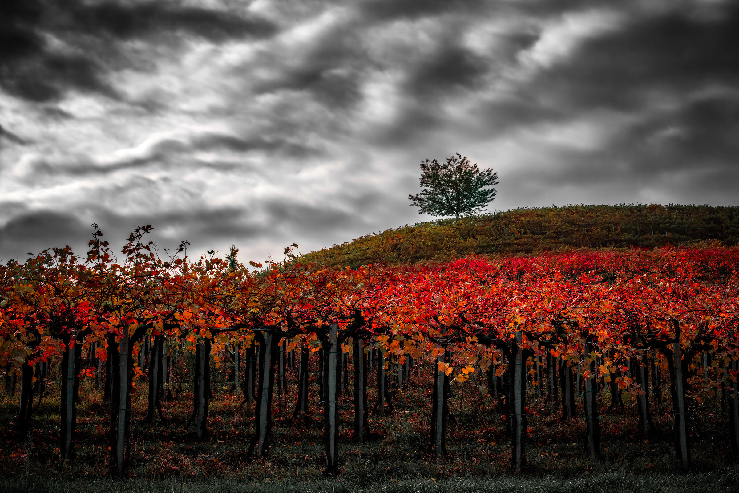 Solo, tra nuvole e foliage