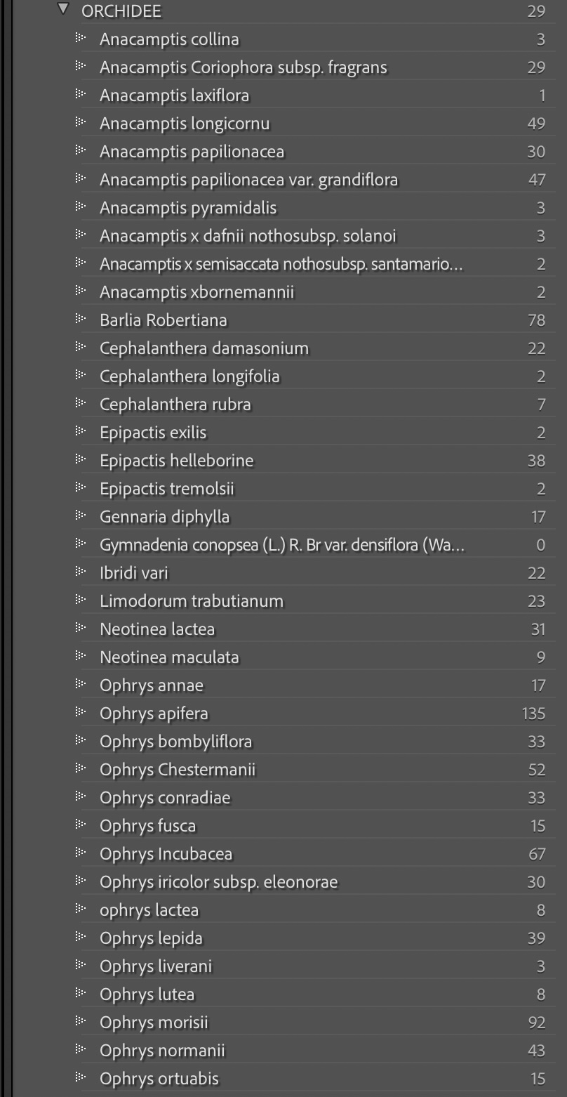 Esempio Keywords Lightroom